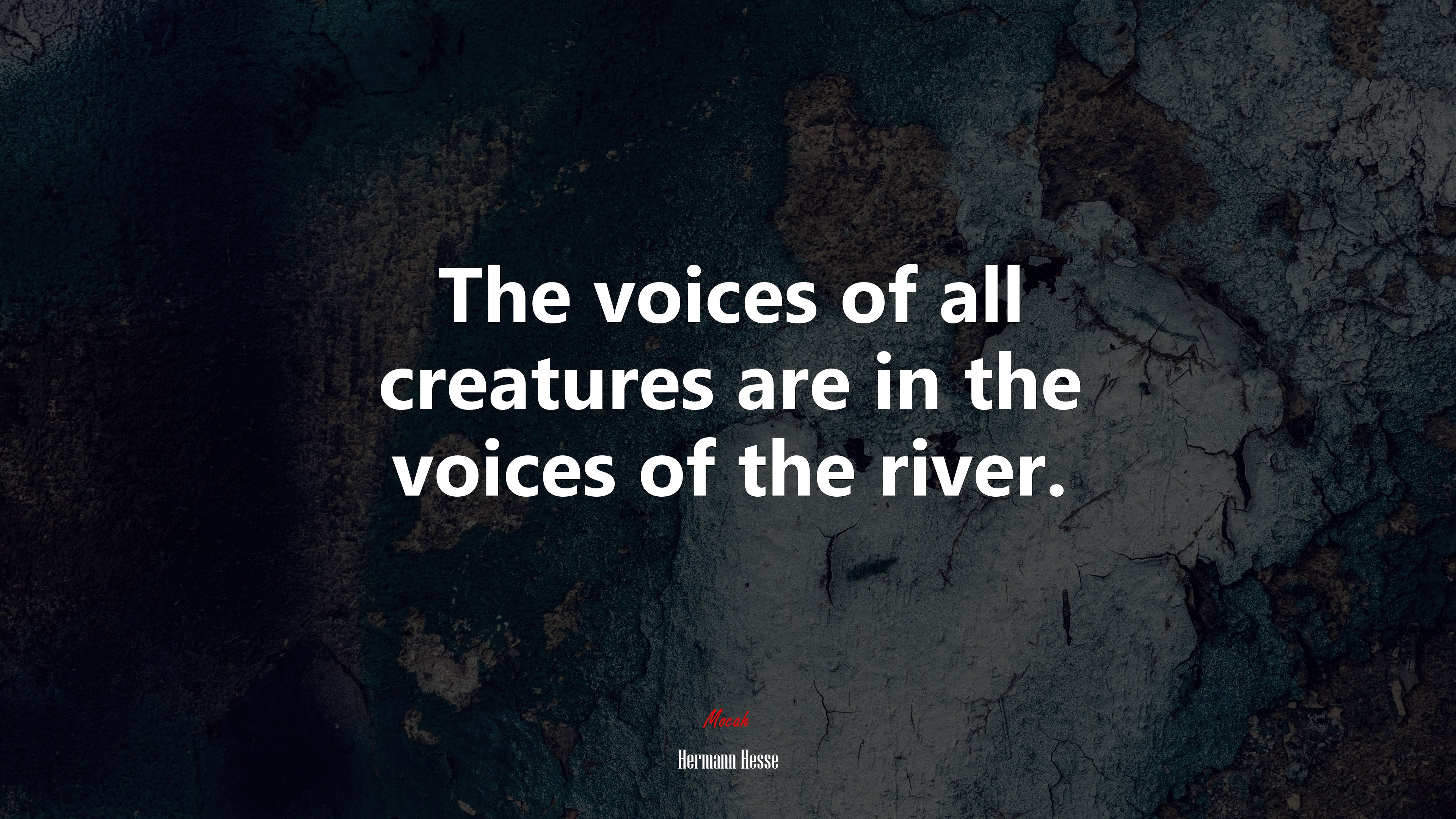 The voices of all creatures are in the voices of the river. | Hermann Hesse quote HD Wallpaper