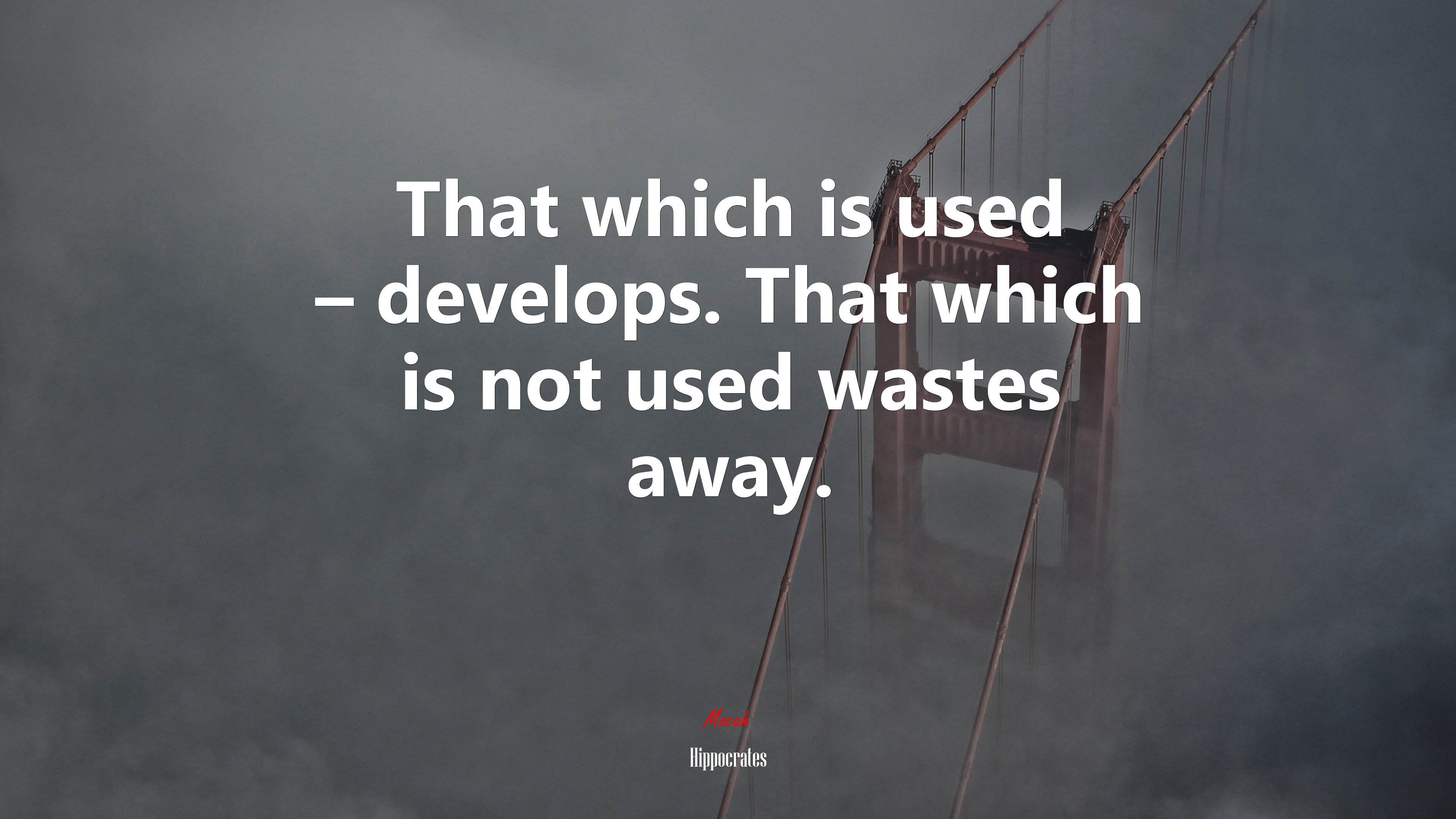 That which is used – develops. That which is not used wastes away. | Hippocrates quote HD Wallpaper