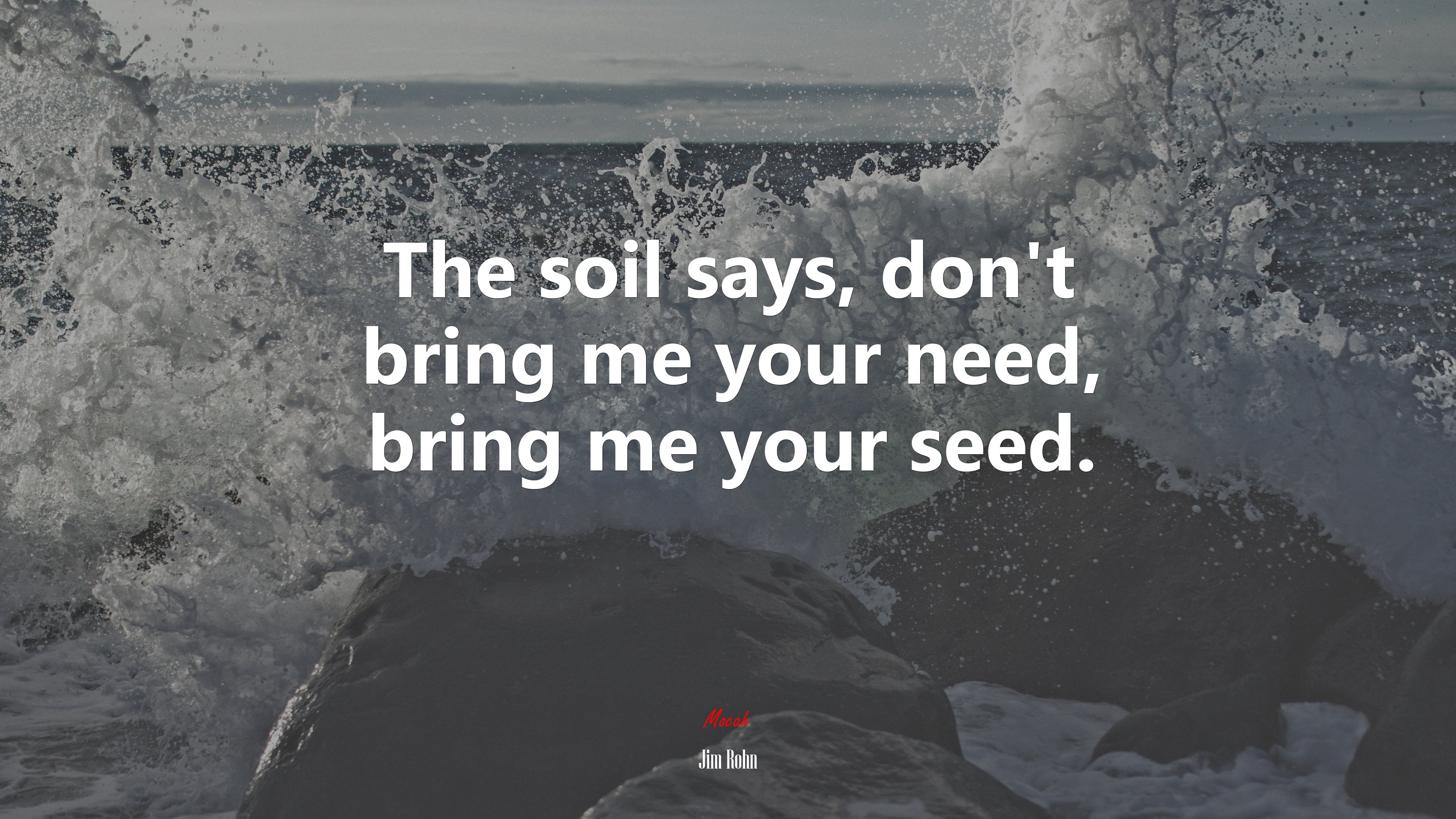 The soil says, don’t bring me your need, bring me your seed. | Jim Rohn quote HD Wallpaper