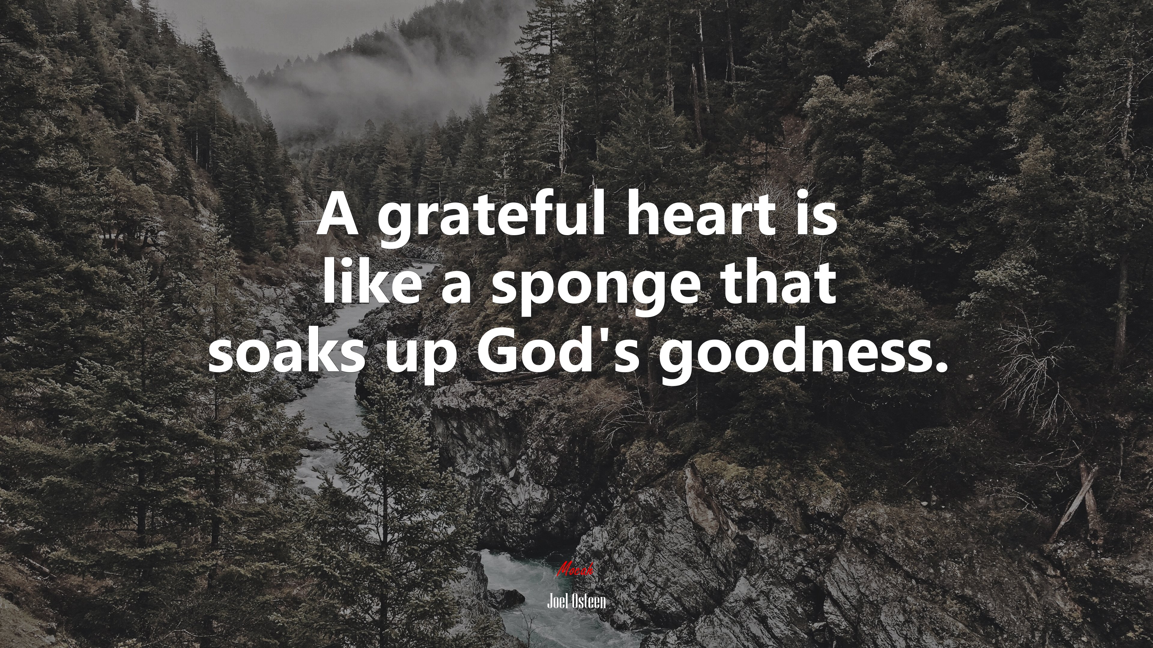 A grateful heart is like a sponge that soaks up God’s goodness. | Joel Osteen quote HD Wallpaper