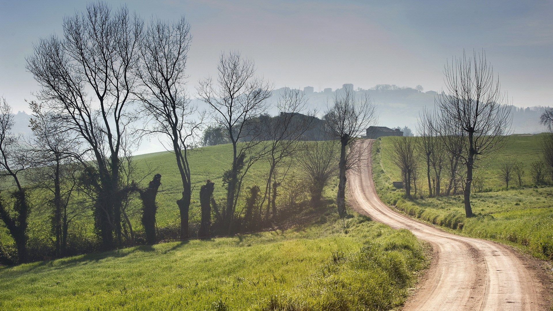 Winding dirt road through green hills with bare trees HD Wallpaper