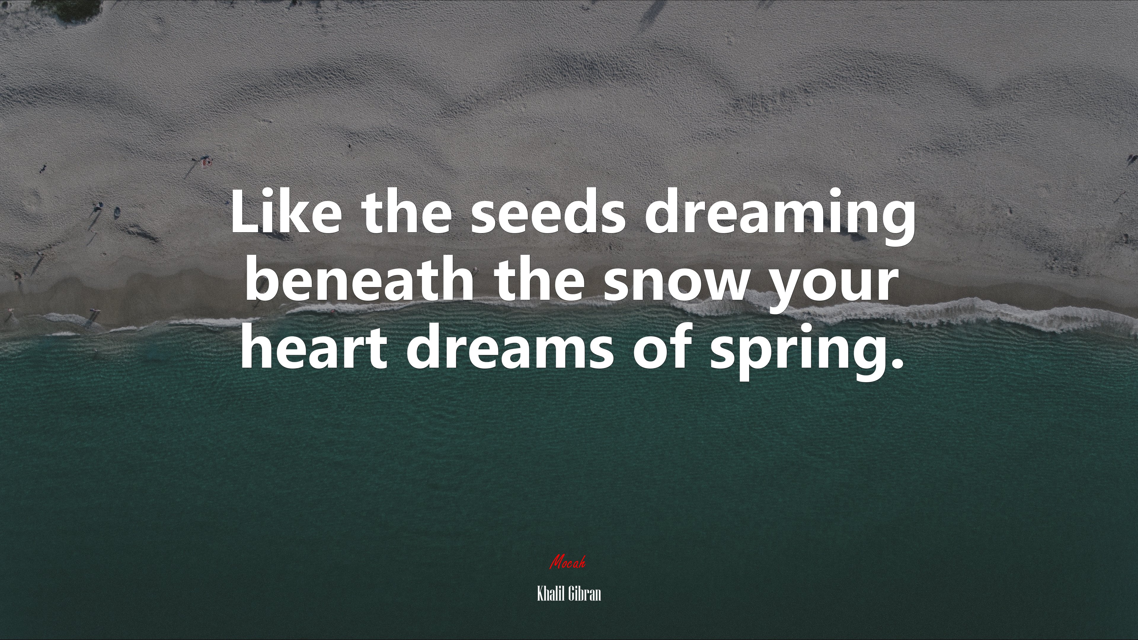 Like the seeds dreaming beneath the snow your heart dreams of spring. | Khalil Gibran quote HD Wallpaper