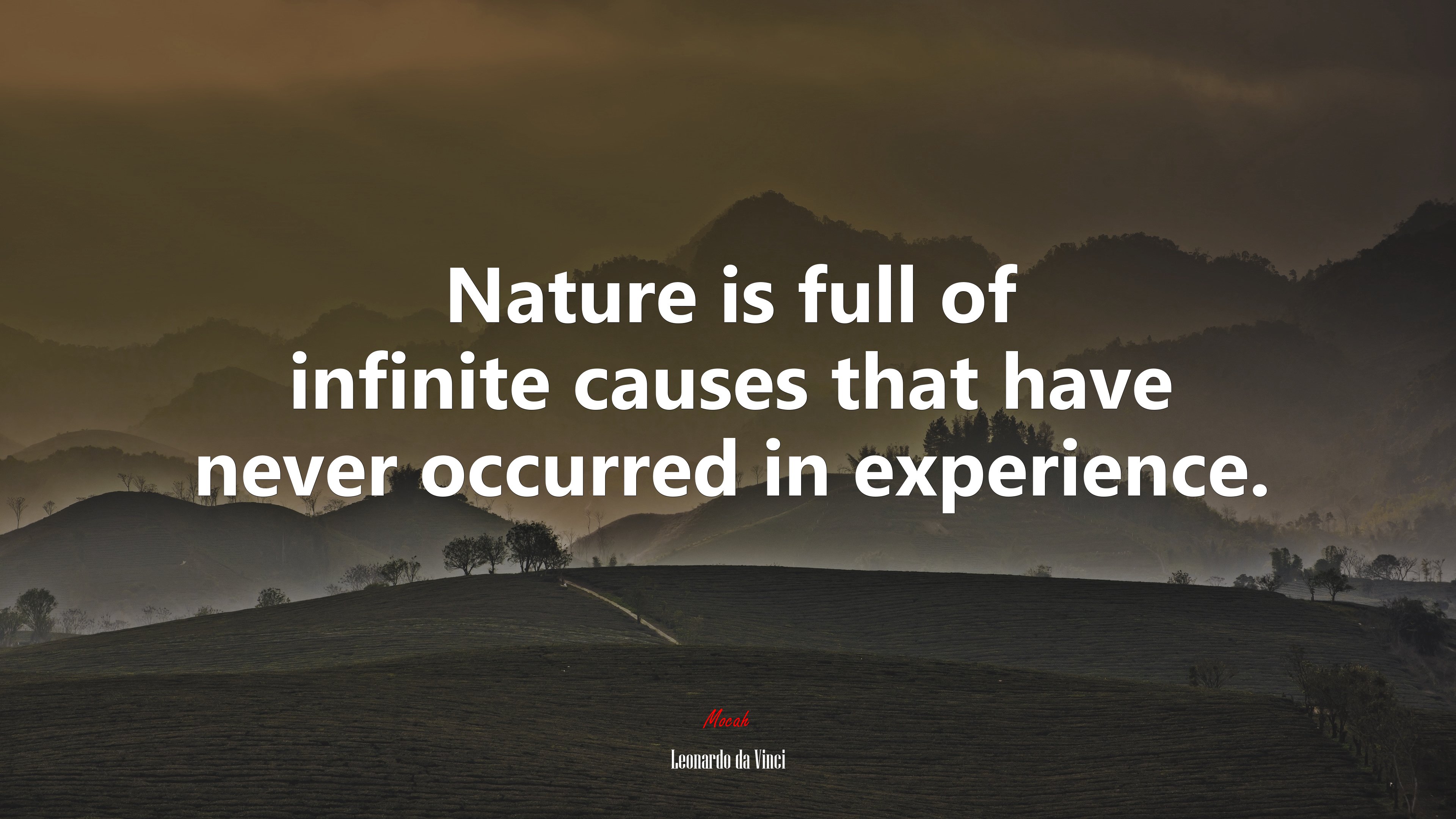 Nature is full of infinite causes that have never occurred in experience. | Leonardo da Vinci quote HD Wallpaper