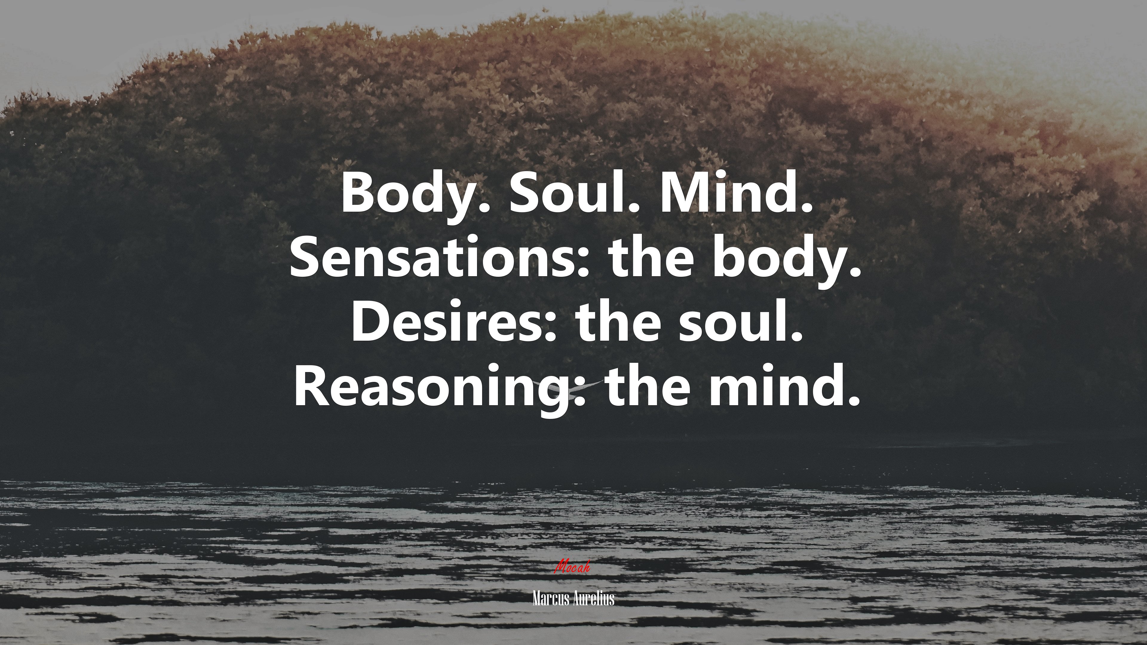 Body. Soul. Mind. Sensations: the body. Desires: the soul. Reasoning: the mind. | Marcus Aurelius quote HD Wallpaper