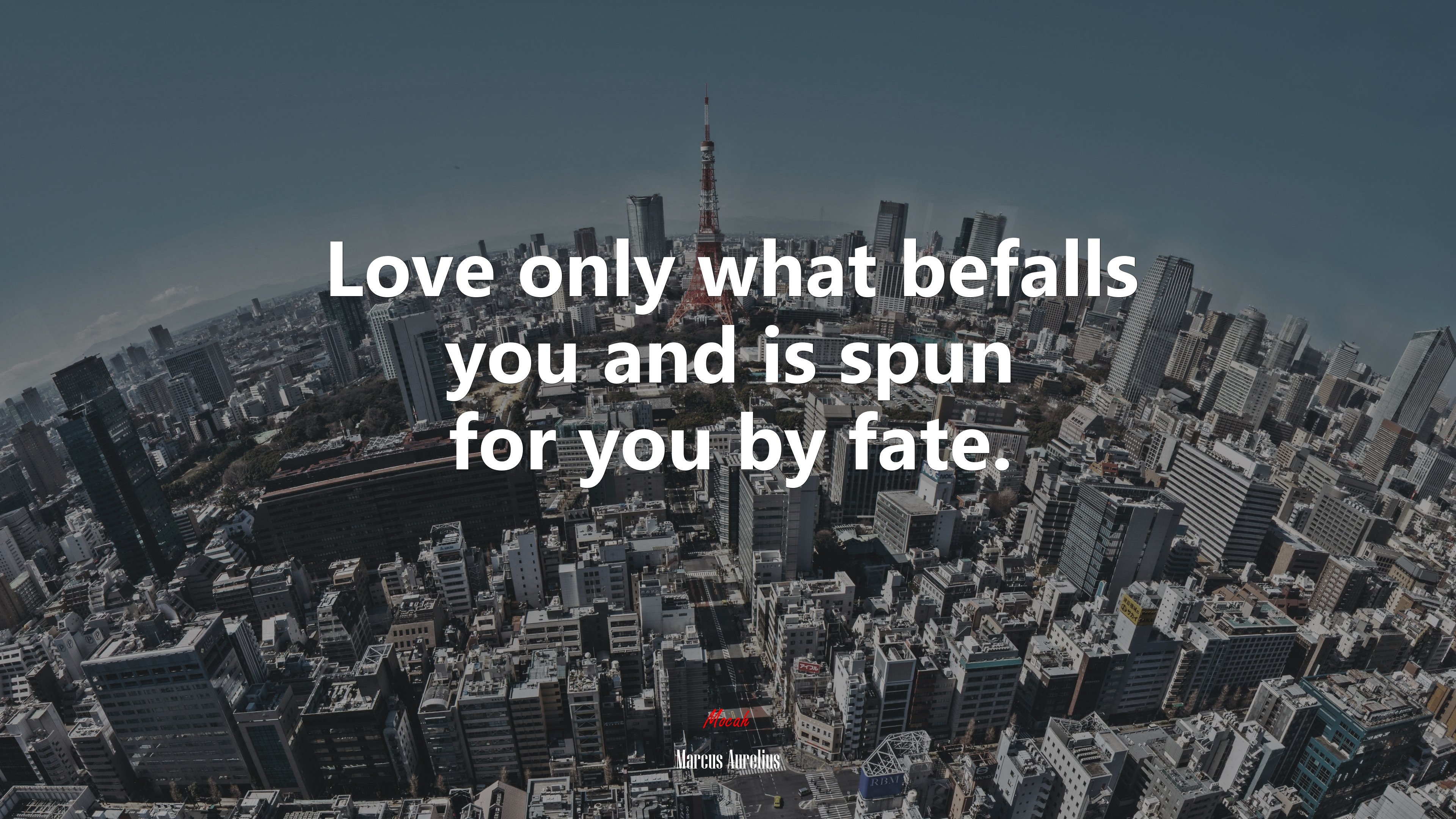 Love only what befalls you and is spun for you by fate. | Marcus Aurelius quote HD Wallpaper