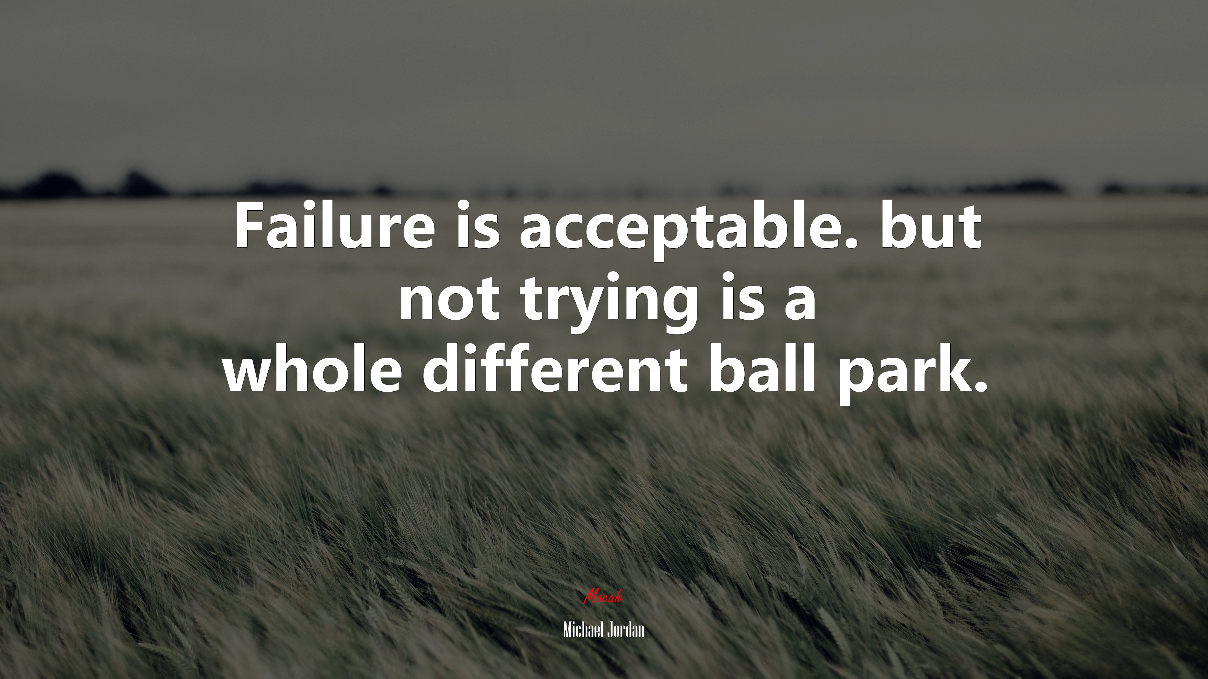 Failure is acceptable. but not trying is a whole different ball park. | Michael Jordan quote HD Wallpaper