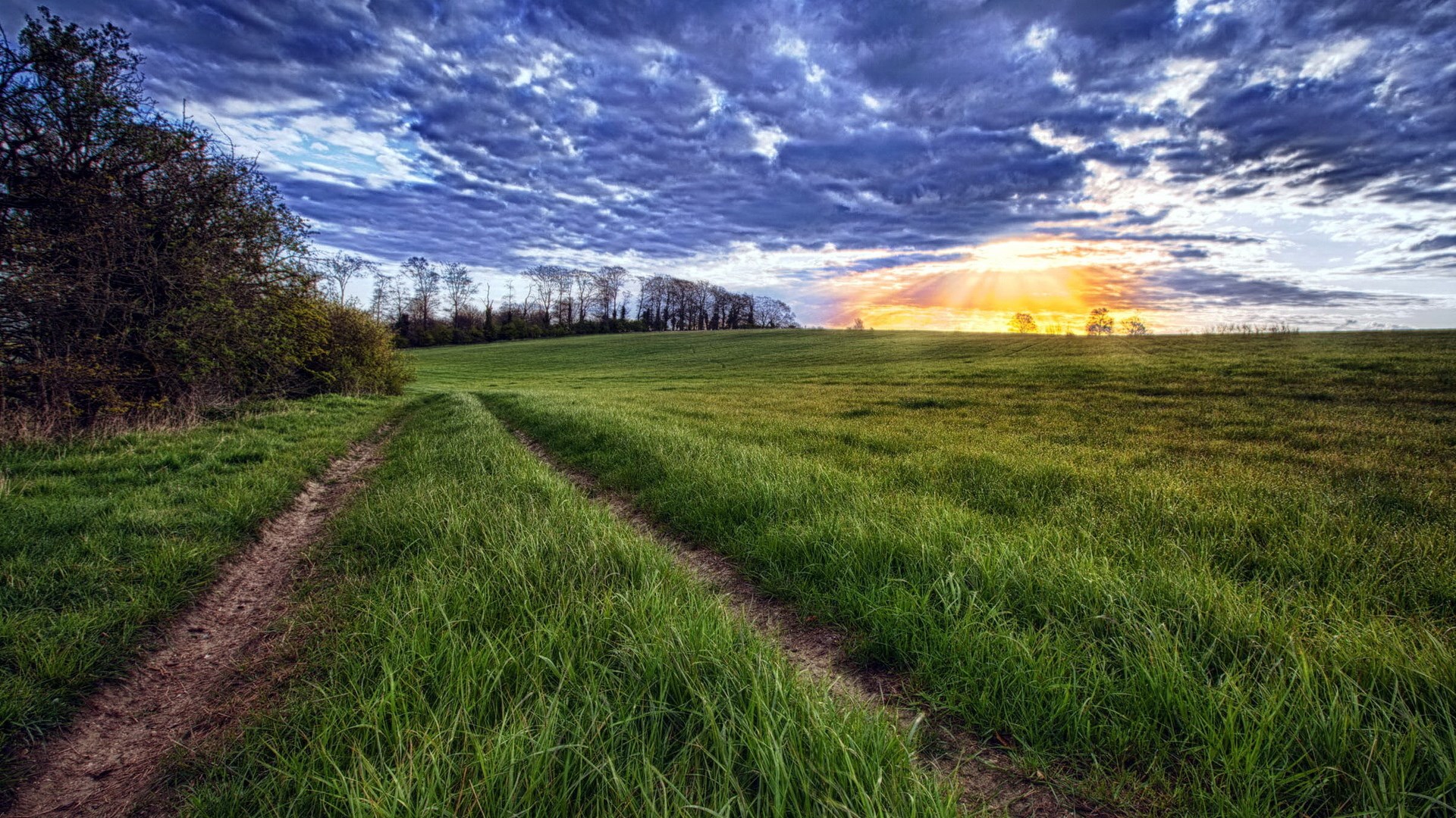 Dirt path through a green field at sunset HD Wallpaper