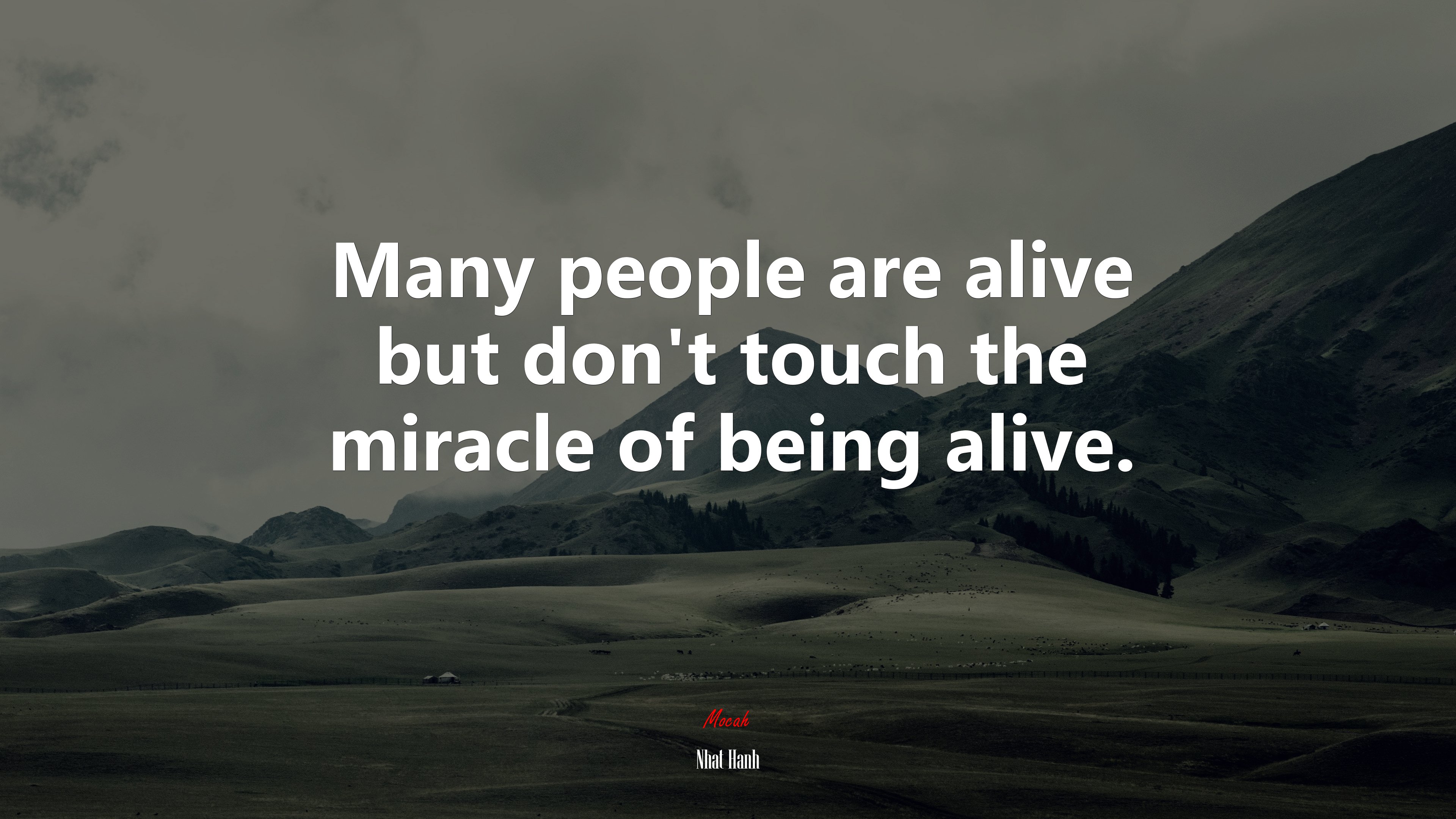 Many people are alive but don’t touch the miracle of being alive. | Nhat Hanh quote HD Wallpaper