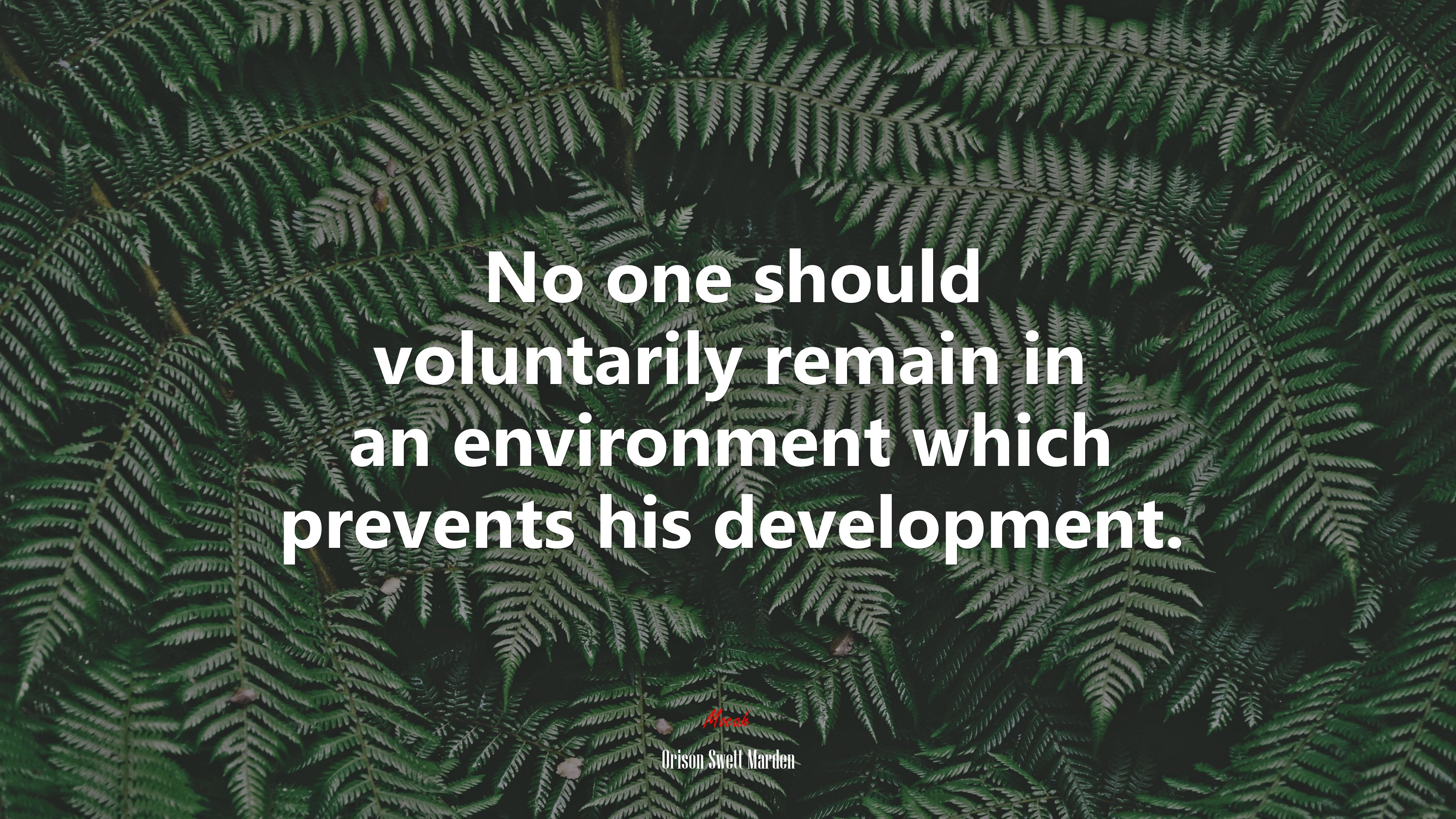 No one should voluntarily remain in an environment which prevents his development. | Orison Swett Marden quote HD Wallpaper