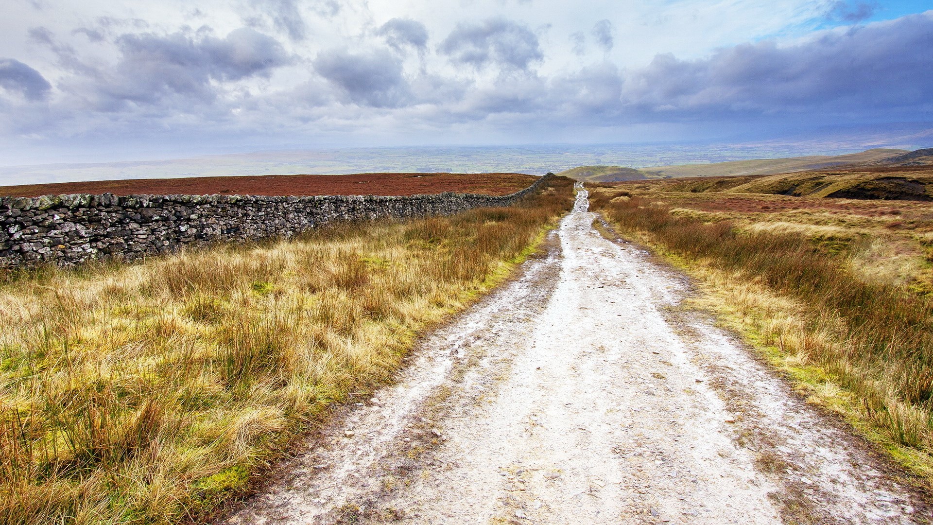 Dirt path through a moorland with a stone wall HD Wallpaper