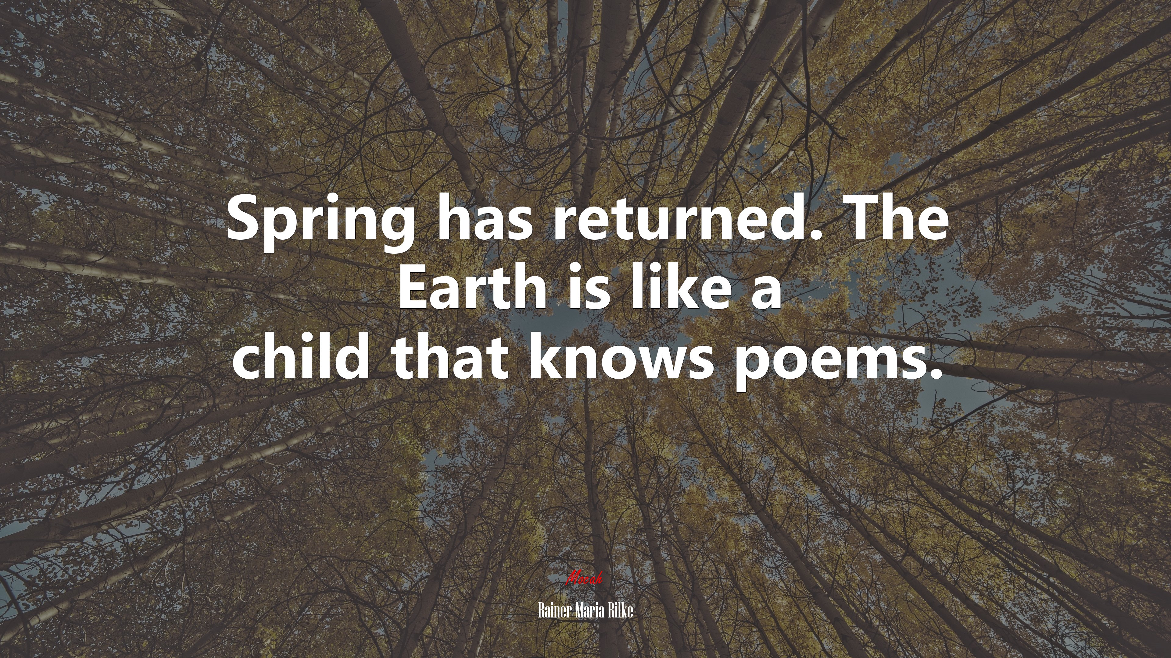 Spring has returned. The Earth is like a child that knows poems. | Rainer Maria Rilke quote HD Wallpaper