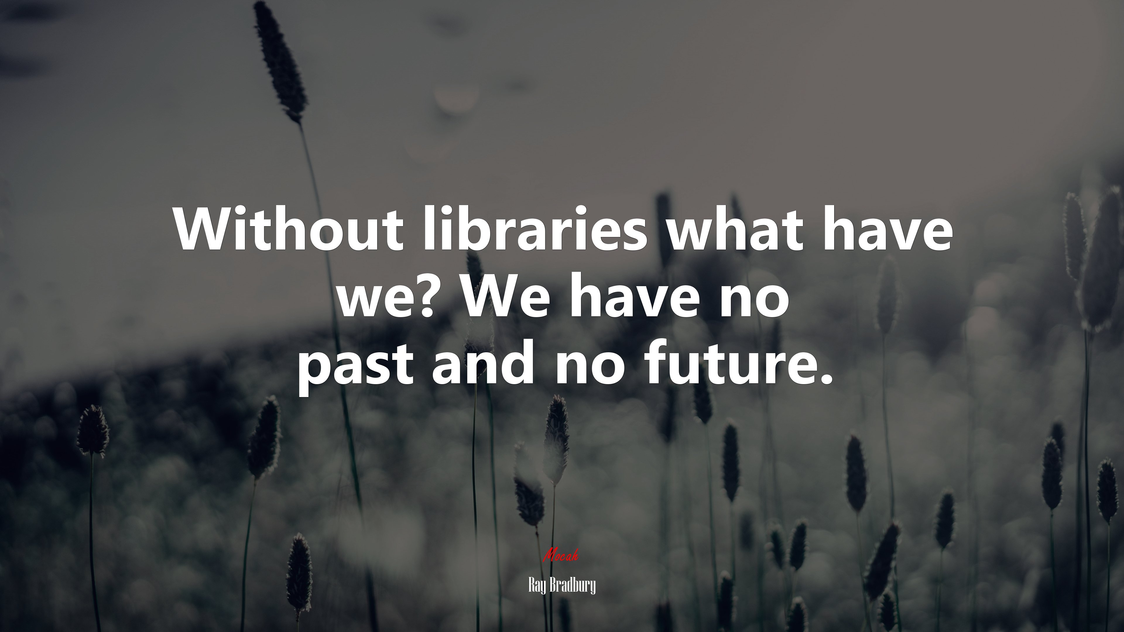 Without libraries what have we? We have no past and no future. | Ray Bradbury quote HD Wallpaper