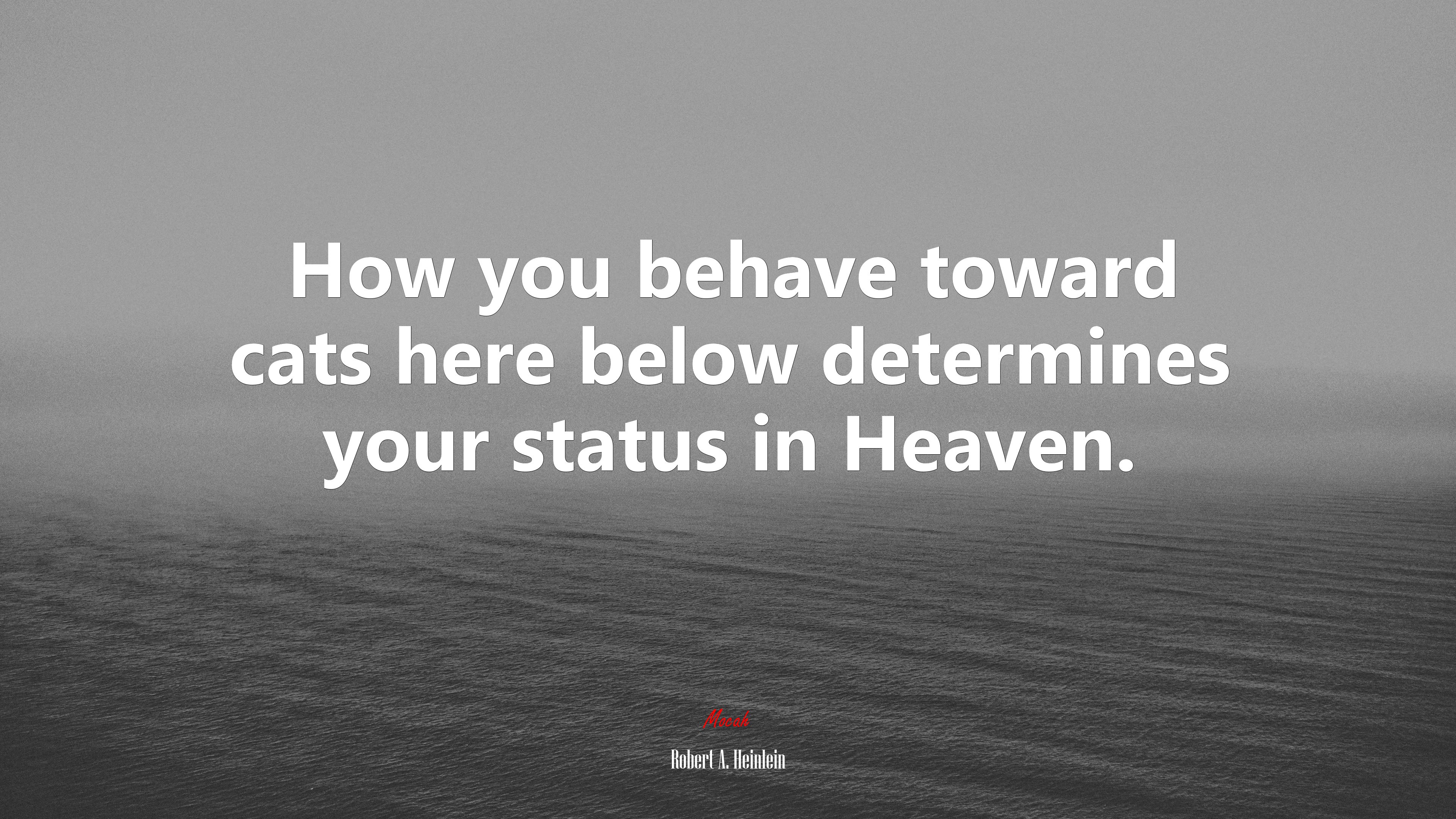 How you behave toward cats here below determines your status in Heaven. | Robert A. Heinlein quote HD Wallpaper