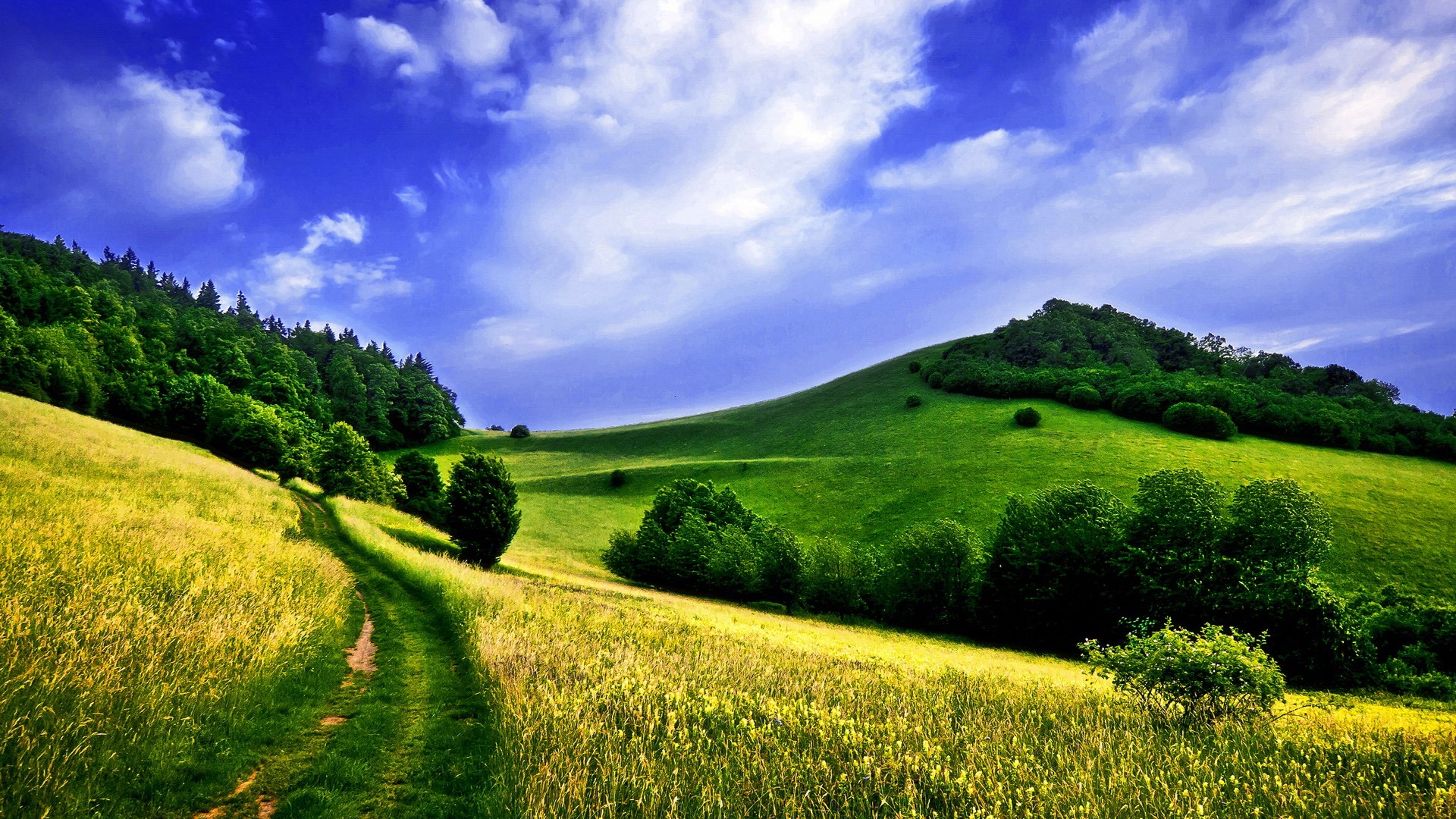 A dirt path winds through a grassy meadow towards rolling green hills HD Wallpaper