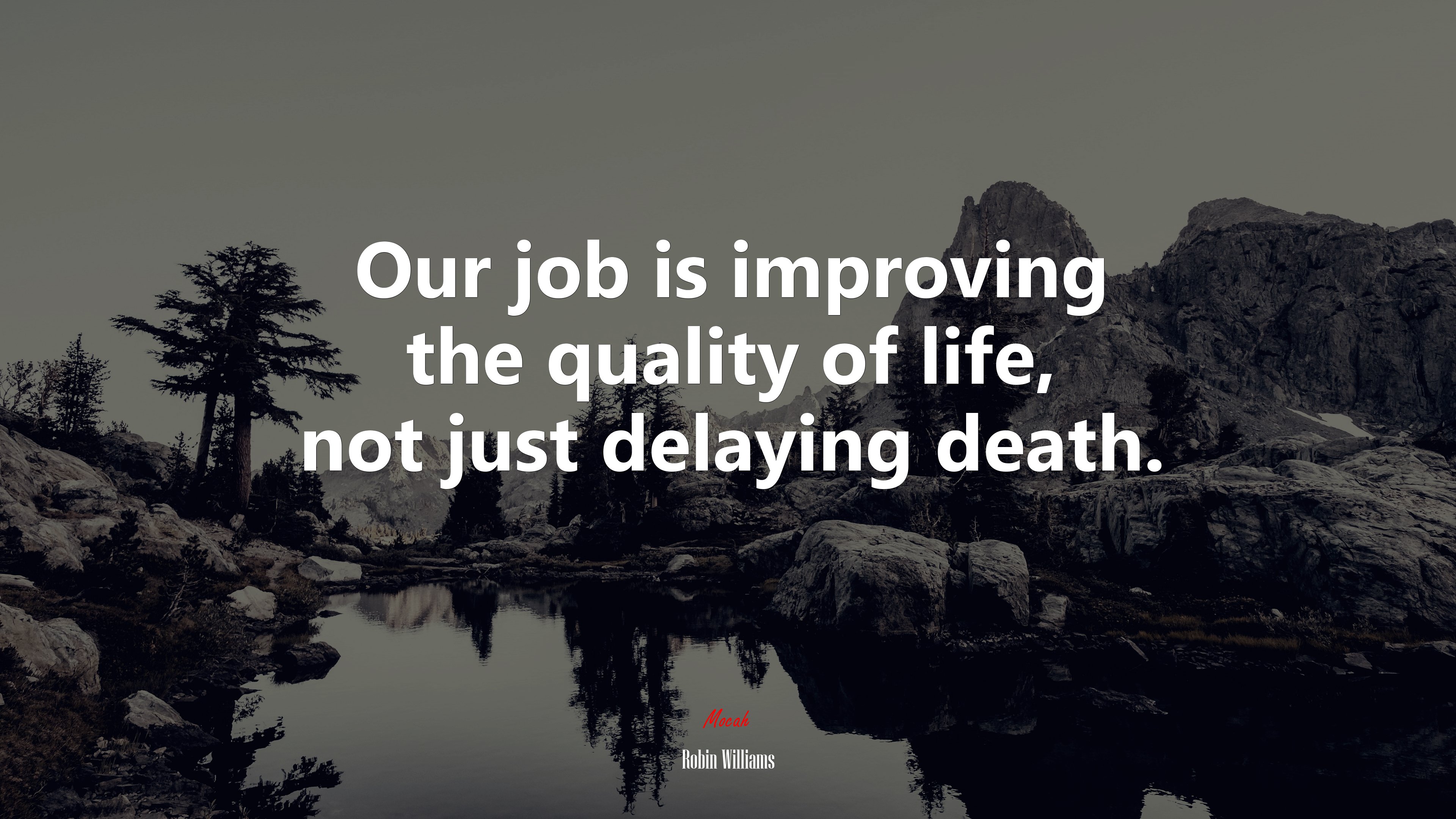 Our job is improving the quality of life, not just delaying death. | Robin Williams quote HD Wallpaper