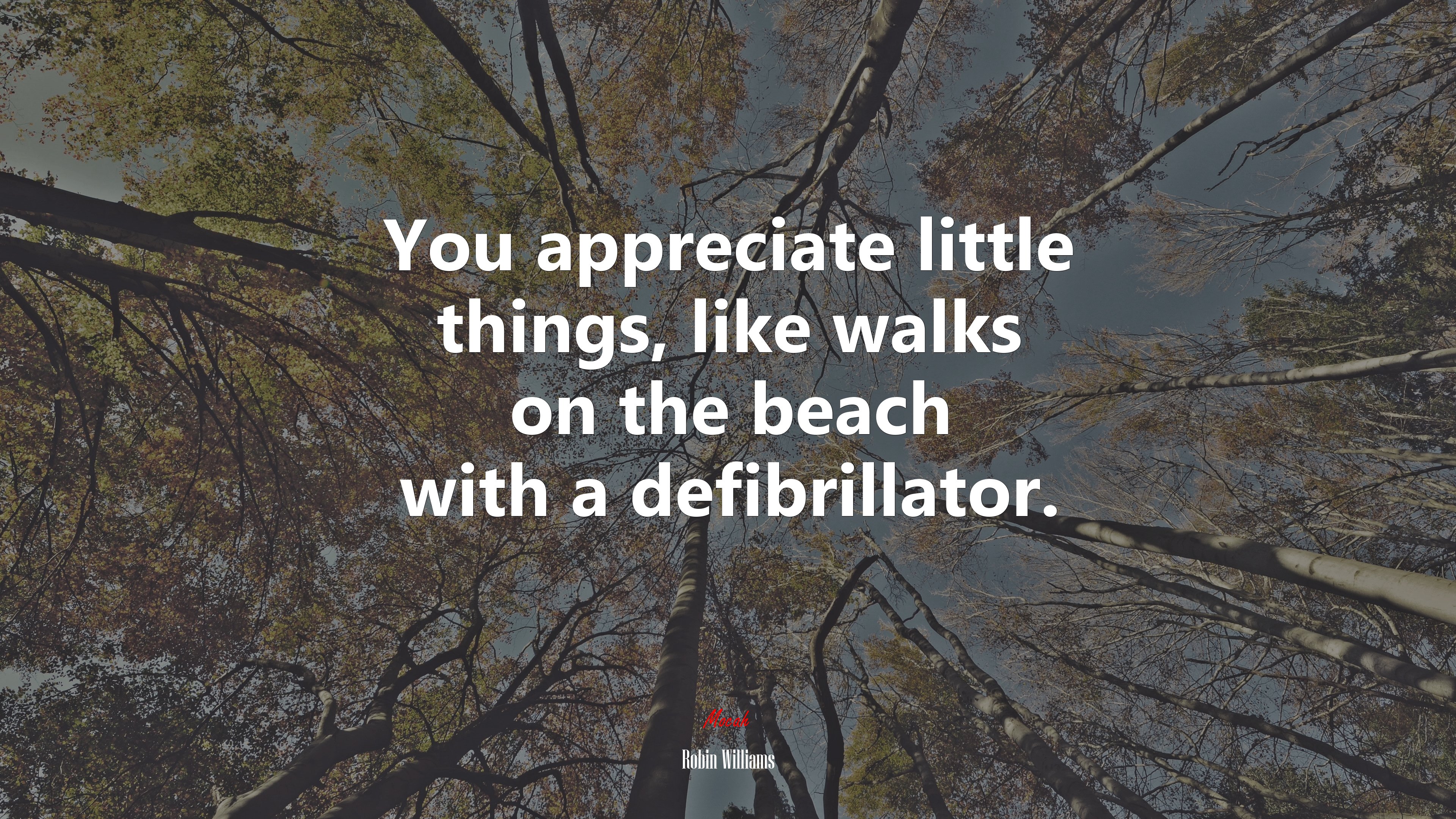 You appreciate little things, like walks on the beach with a defibrillator. | Robin Williams quote HD Wallpaper