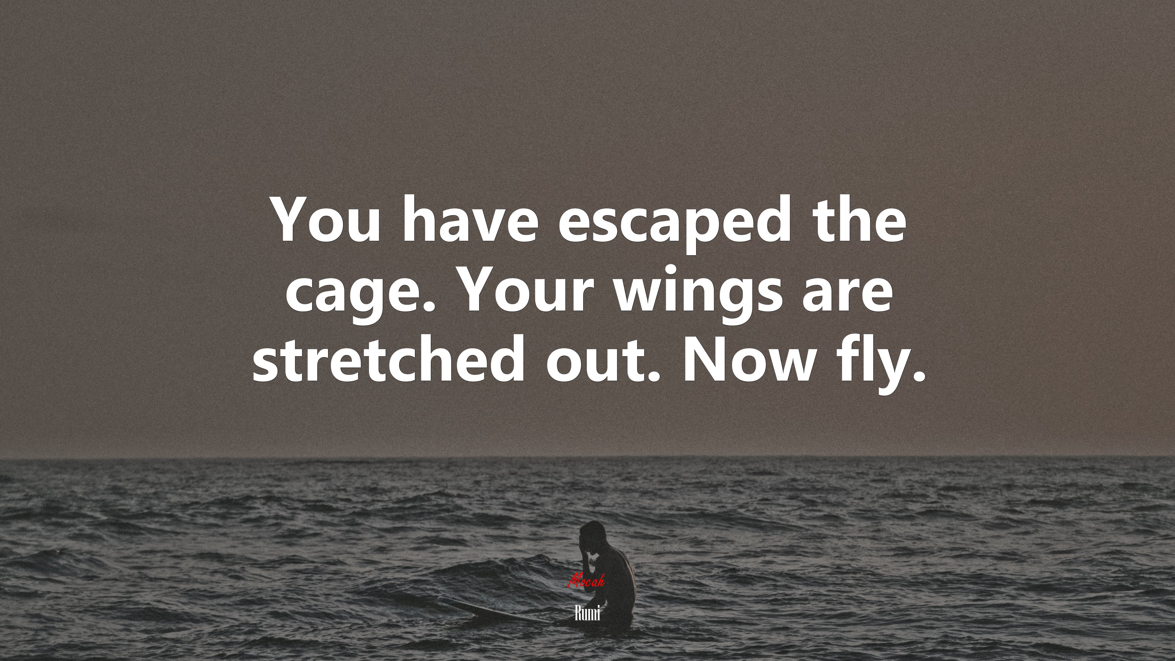 You have escaped the cage. Your wings are stretched out. Now fly. | Rumi quote HD Wallpaper