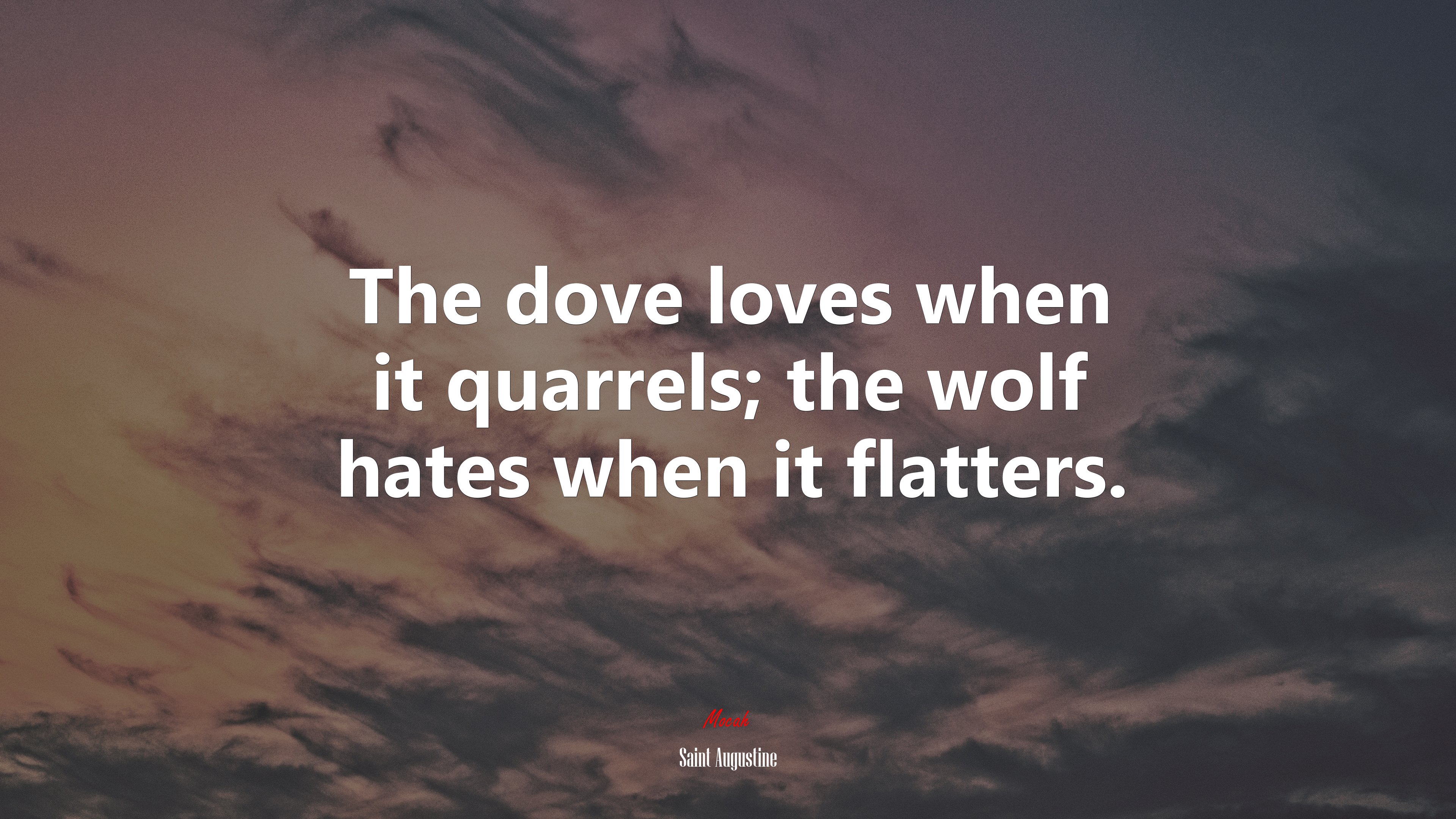 The dove loves when it quarrels; the wolf hates when it flatters. | Saint Augustine quote HD Wallpaper