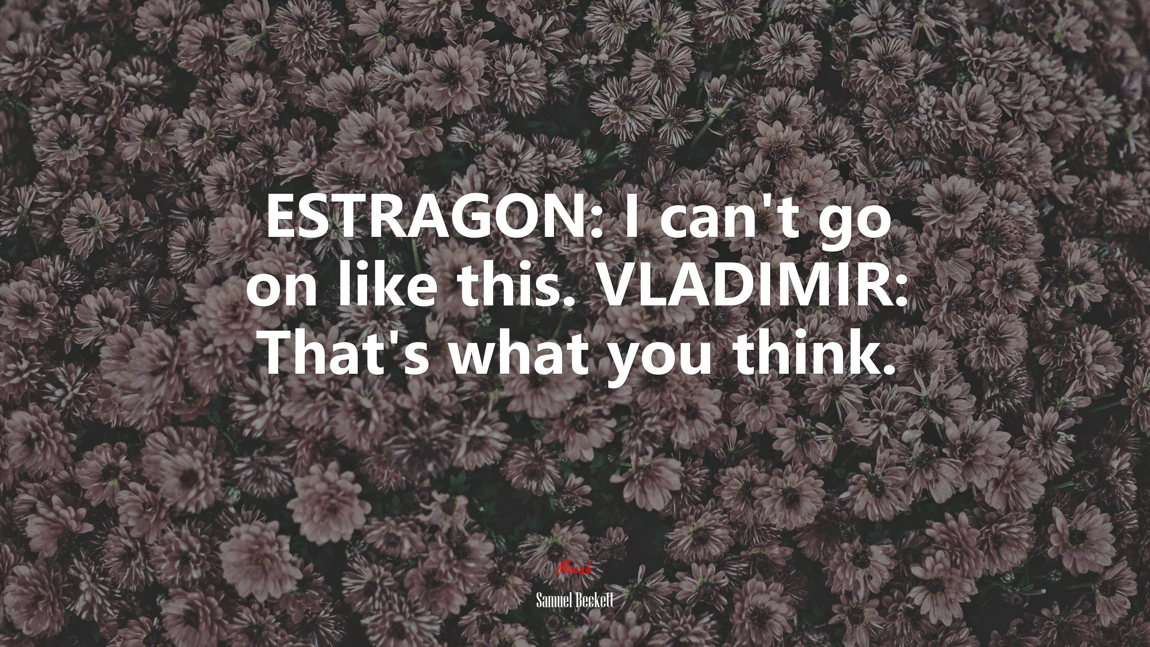 ESTRAGON: I can’t go on like this. VLADIMIR: That’s what you think. | Samuel Beckett quote HD Wallpaper
