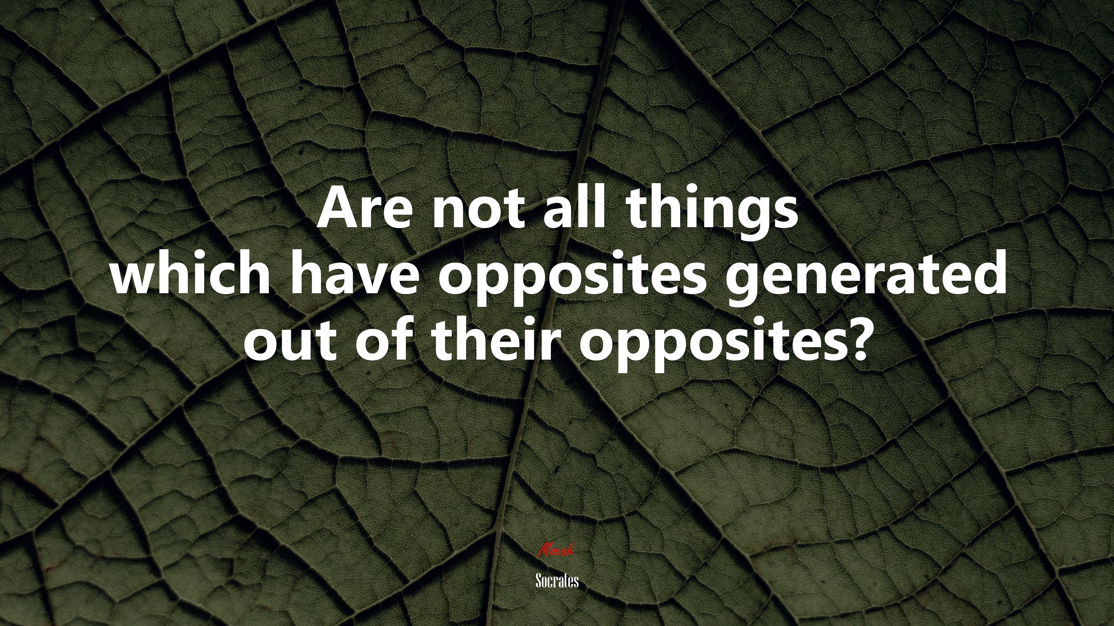 Are not all things which have opposites generated out of their opposites? | Socrates quote HD Wallpaper