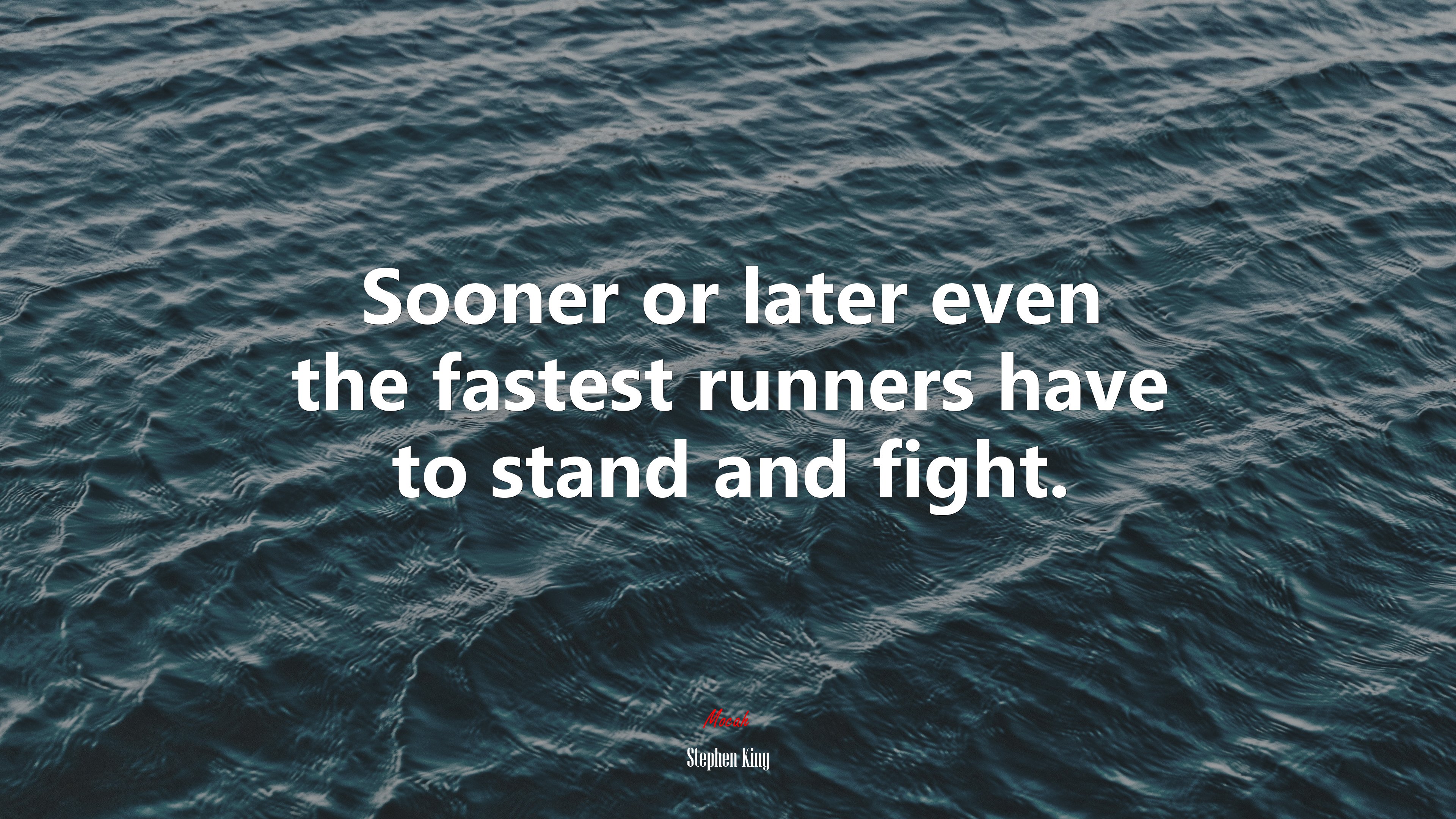 Sooner or later even the fastest runners have to stand and fight. | Stephen King quote HD Wallpaper