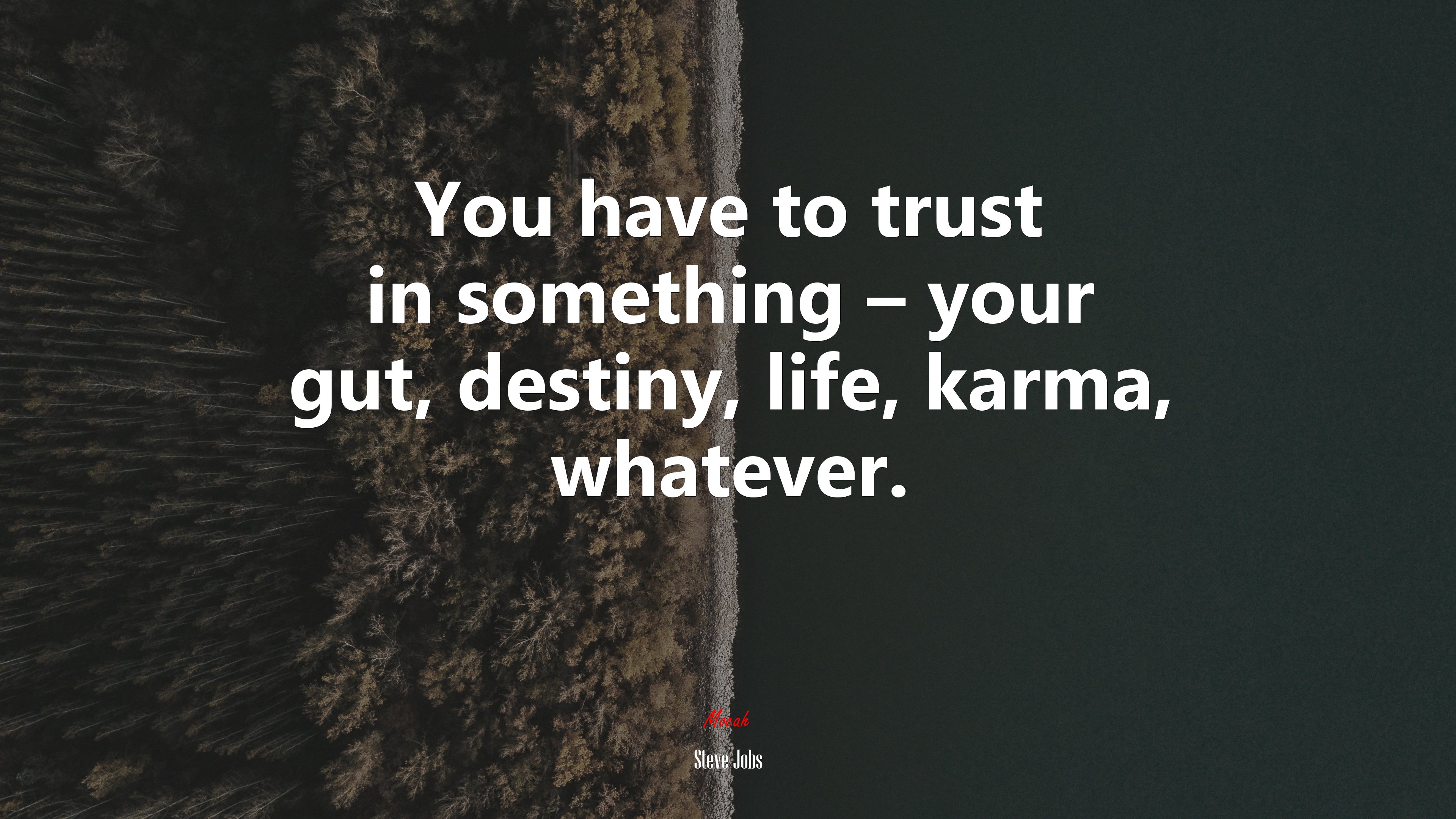 You have to trust in something – your gut, destiny, life, karma, whatever. | Steve Jobs quote HD Wallpaper