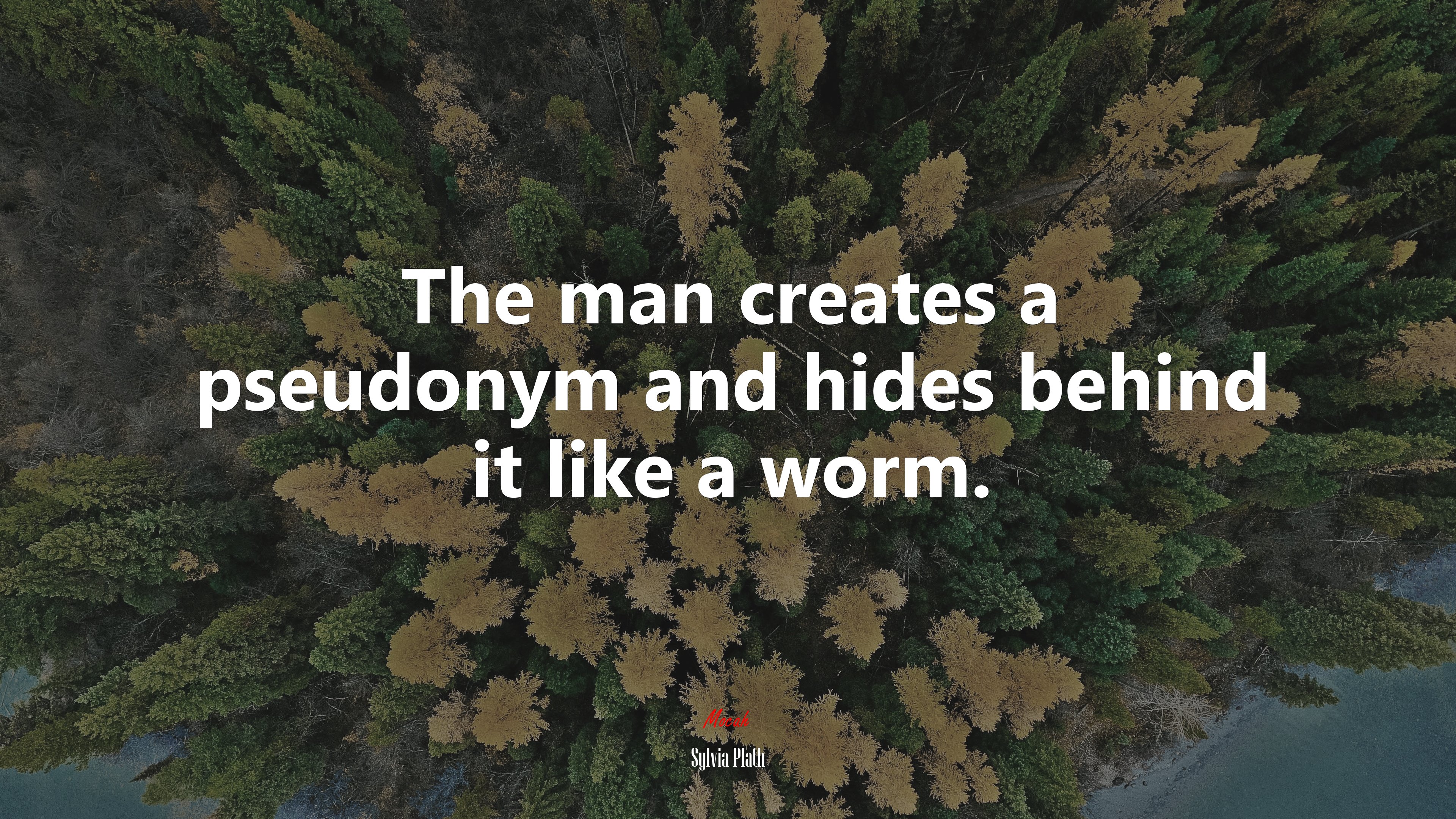 The man creates a pseudonym and hides behind it like a worm. | Sylvia Plath quote HD Wallpaper