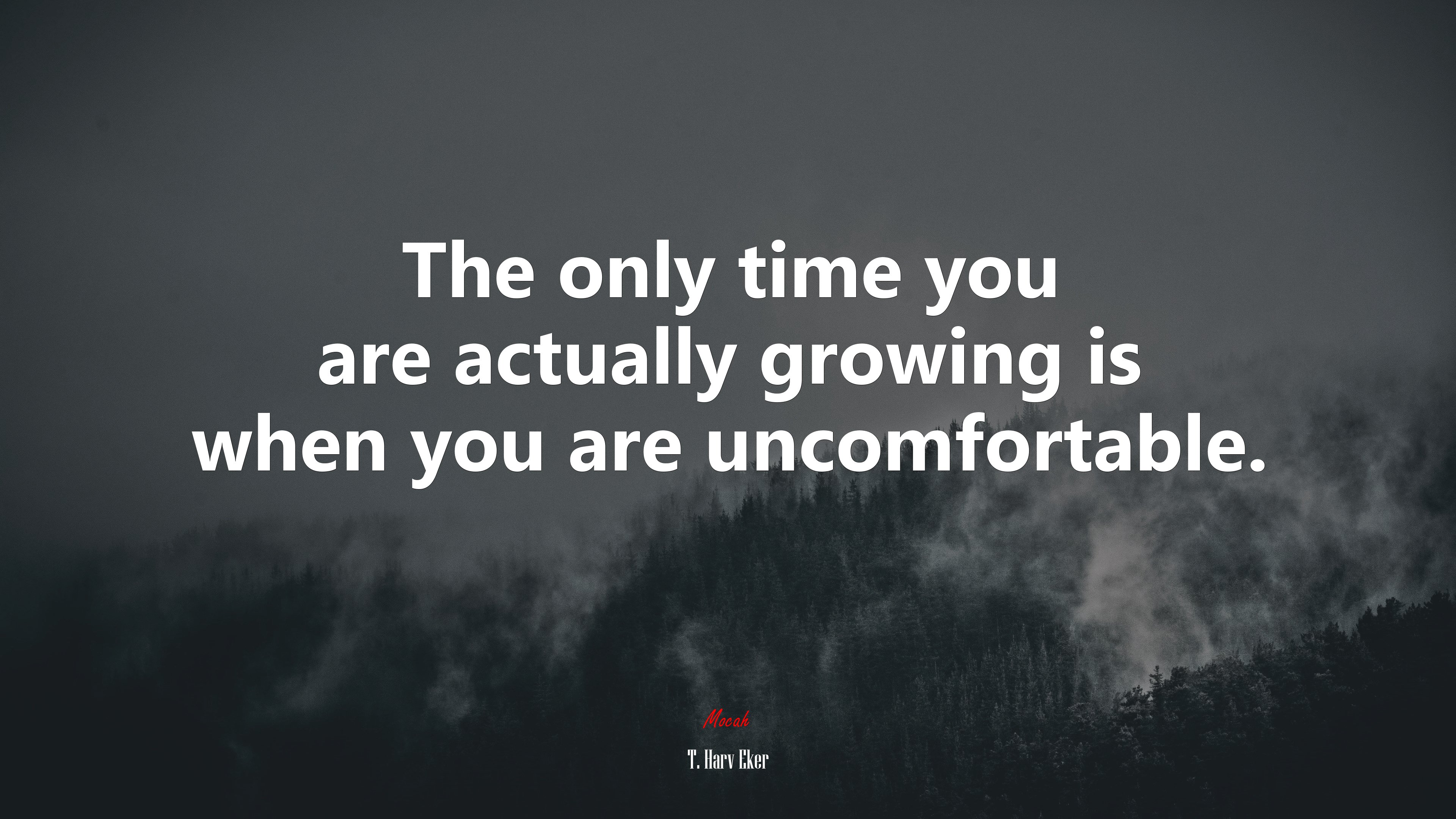 The only time you are actually growing is when you are uncomfortable. | T. Harv Eker quote HD Wallpaper