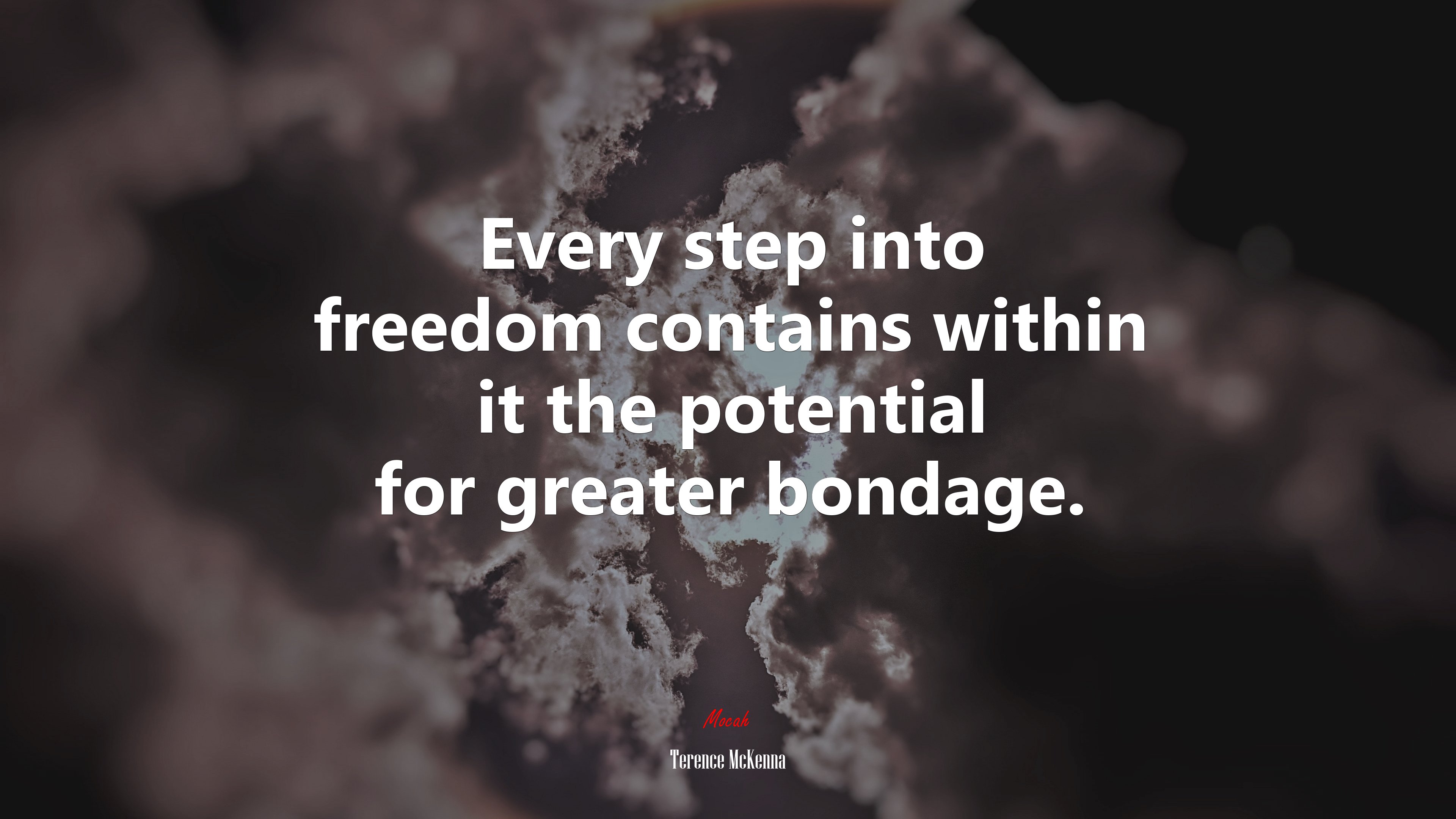 Every step into freedom contains within it the potential for greater bondage. | Terence McKenna quote HD Wallpaper
