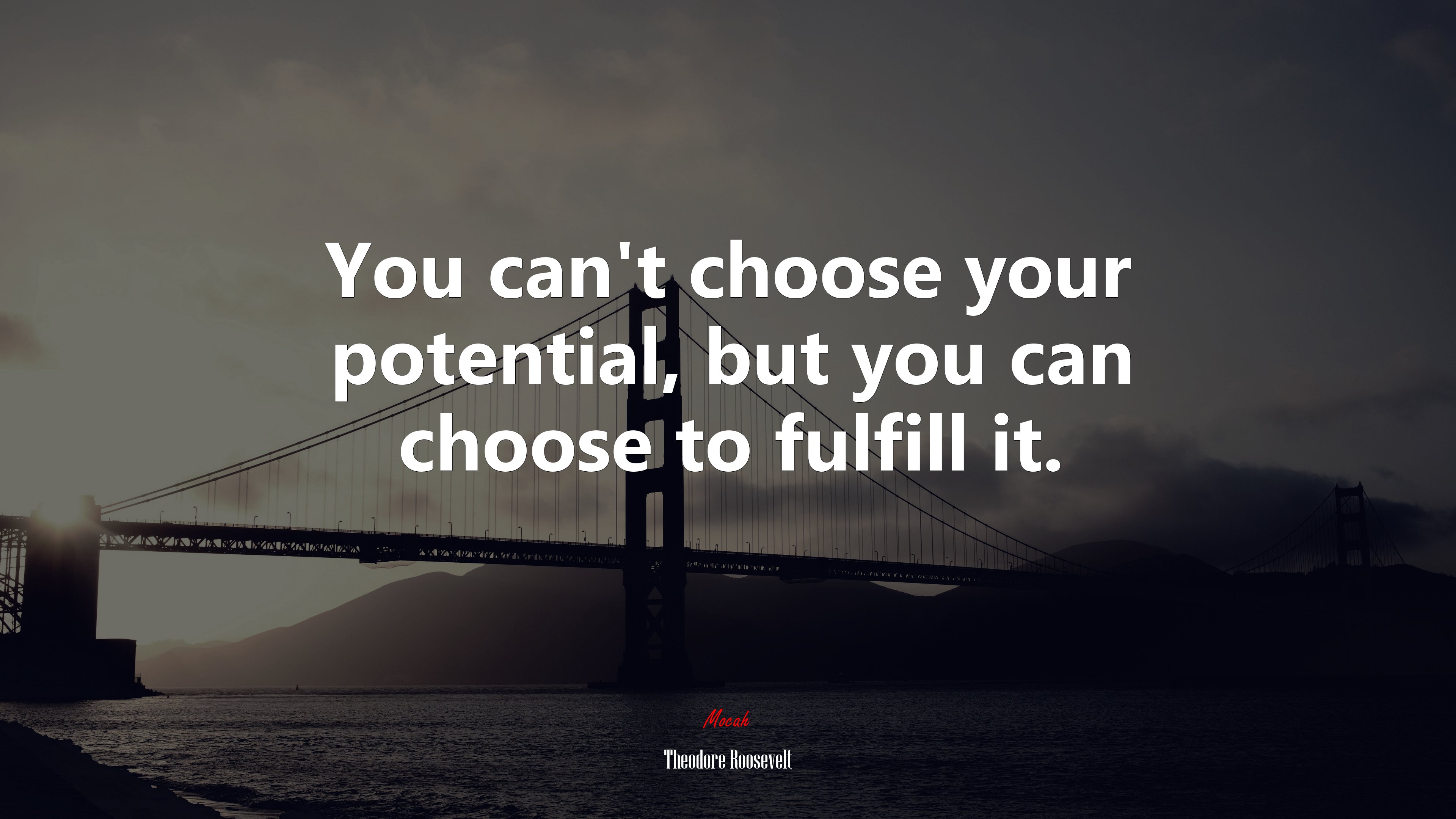 You can’t choose your potential, but you can choose to fulfill it. | Theodore Roosevelt quote HD Wallpaper