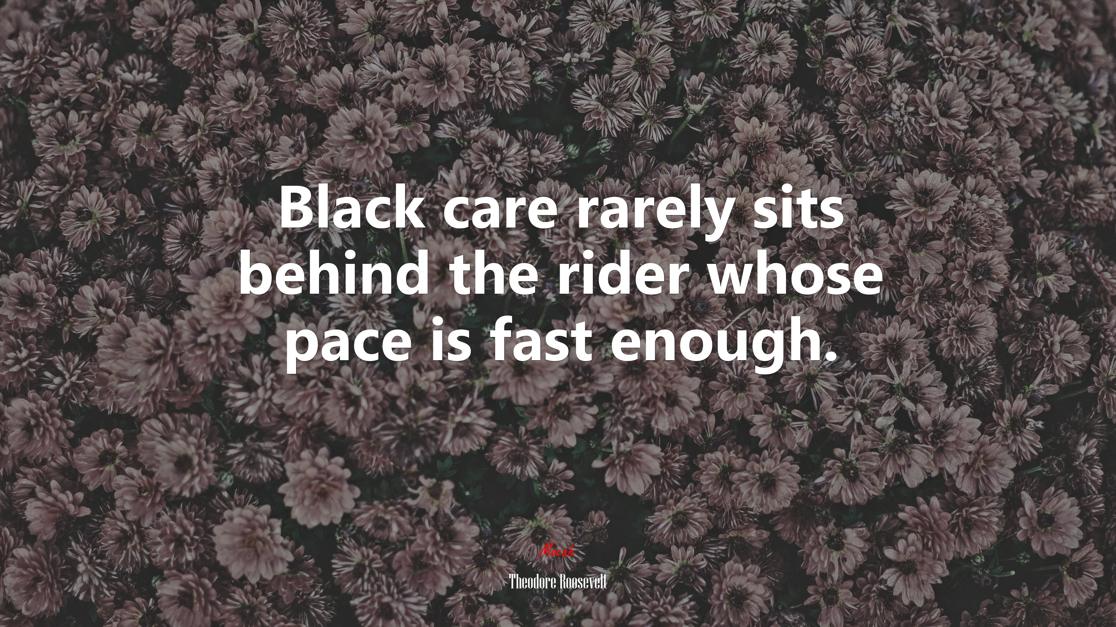 Black care rarely sits behind the rider whose pace is fast enough. | Theodore Roosevelt quote HD Wallpaper