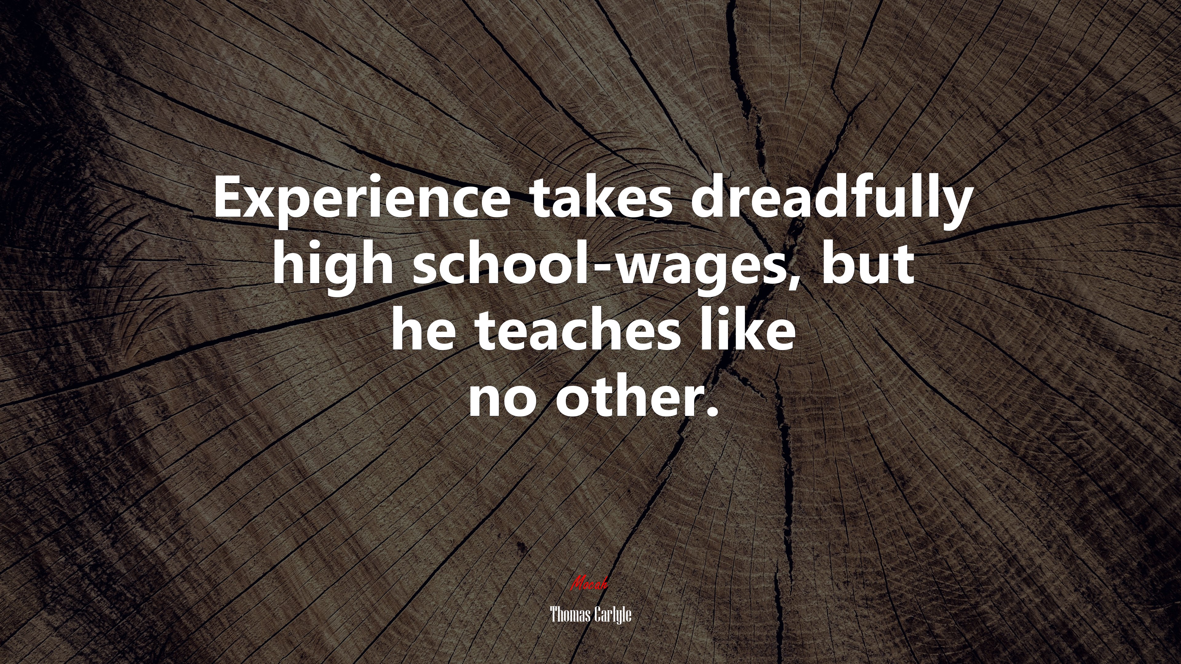 Experience takes dreadfully high school-wages, but he teaches like no other. | Thomas Carlyle quote HD Wallpaper