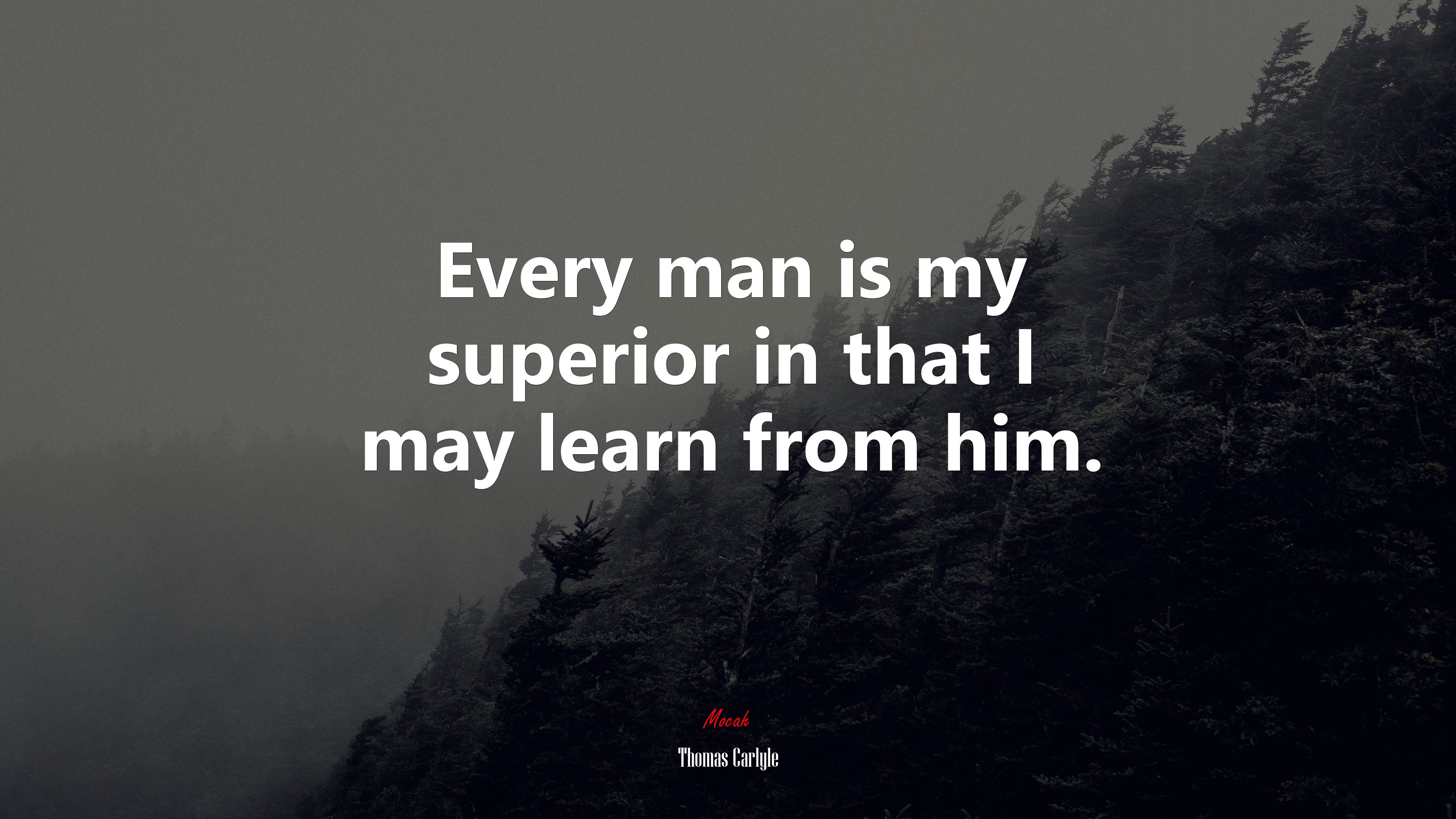 Every man is my superior in that I may learn from him. | Thomas Carlyle quote HD Wallpaper