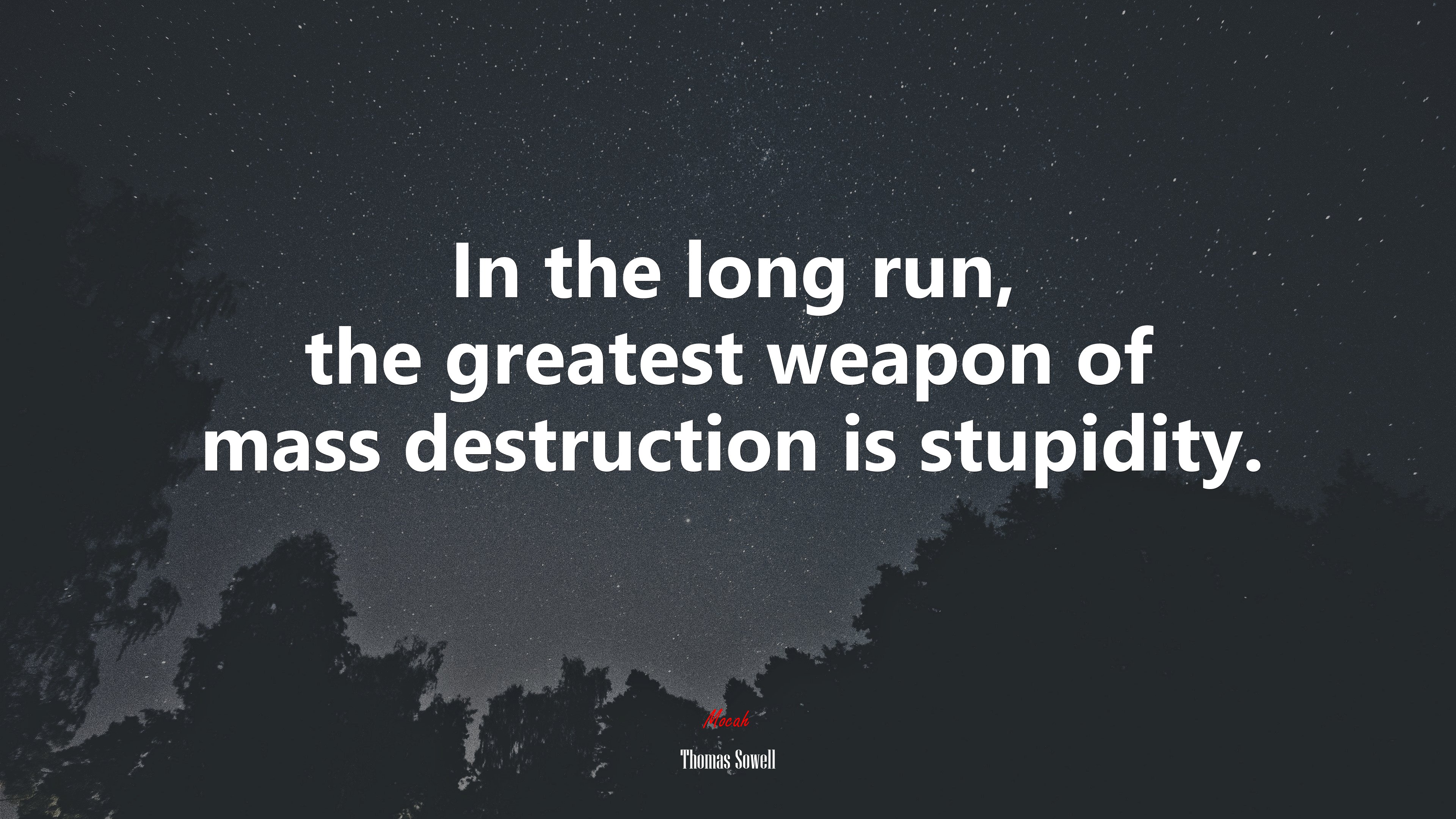 In the long run, the greatest weapon of mass destruction is stupidity. | Thomas Sowell quote HD Wallpaper