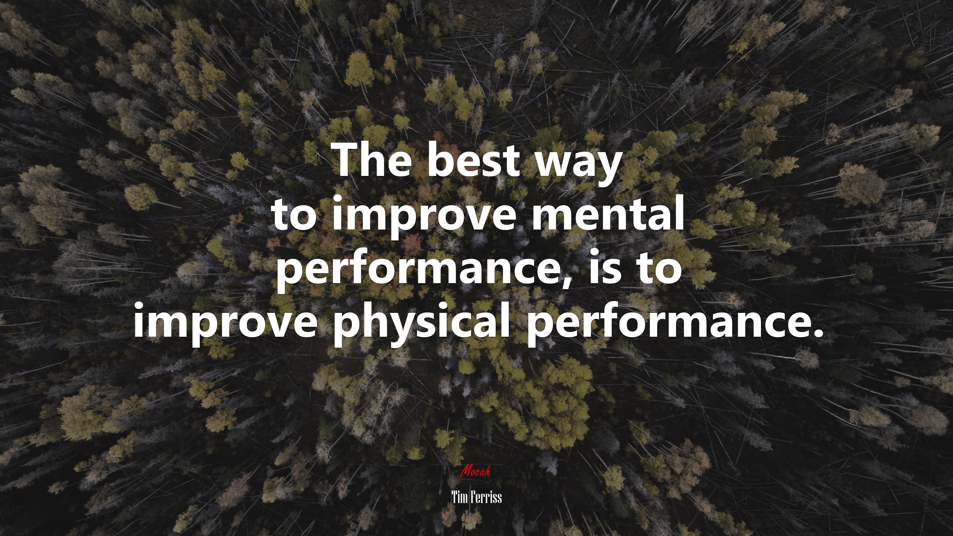 The best way to improve mental performance, is to improve physical performance. | Tim Ferriss quote HD Wallpaper