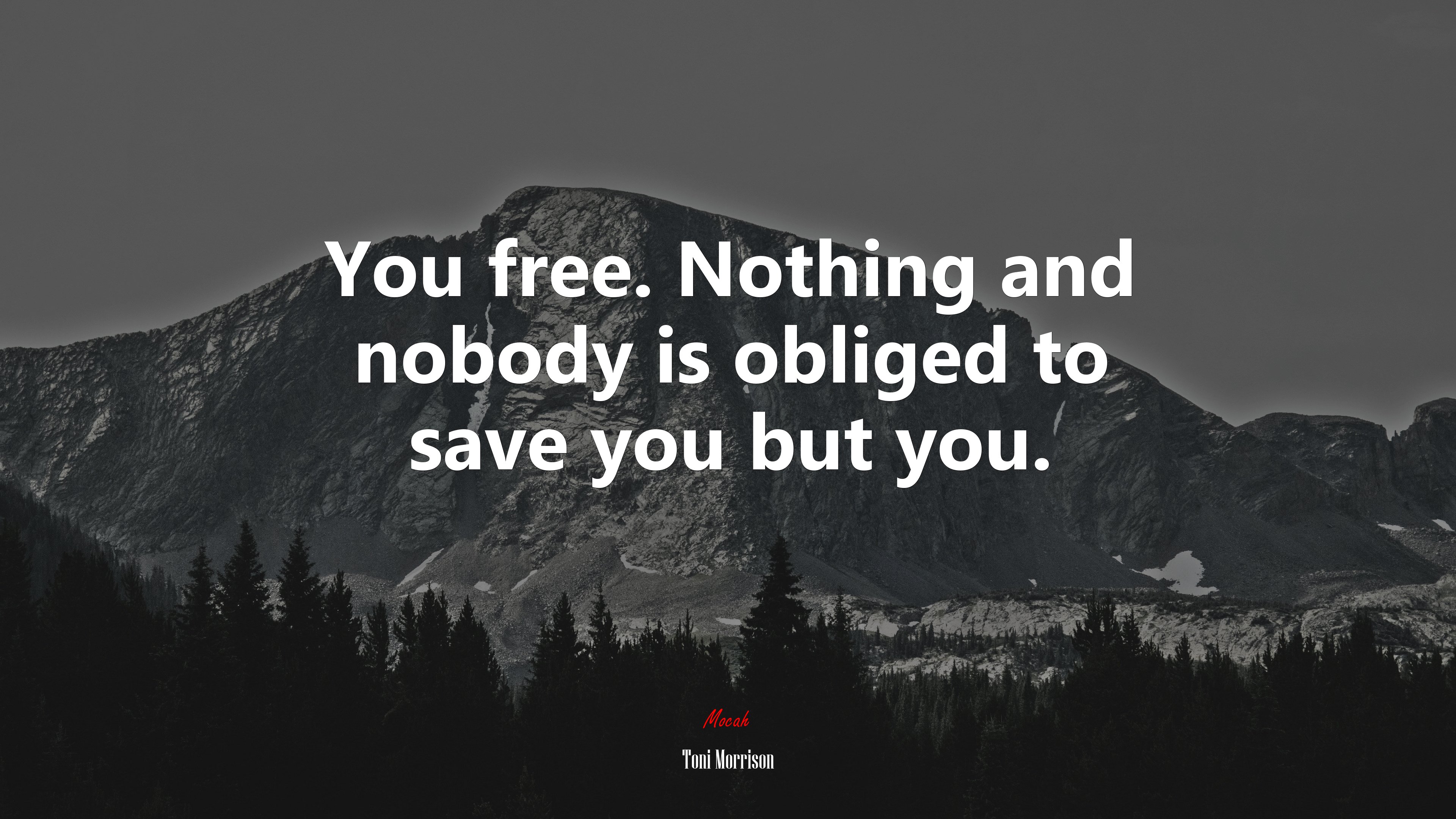 You free. Nothing and nobody is obliged to save you but you. | Toni Morrison quote HD Wallpaper