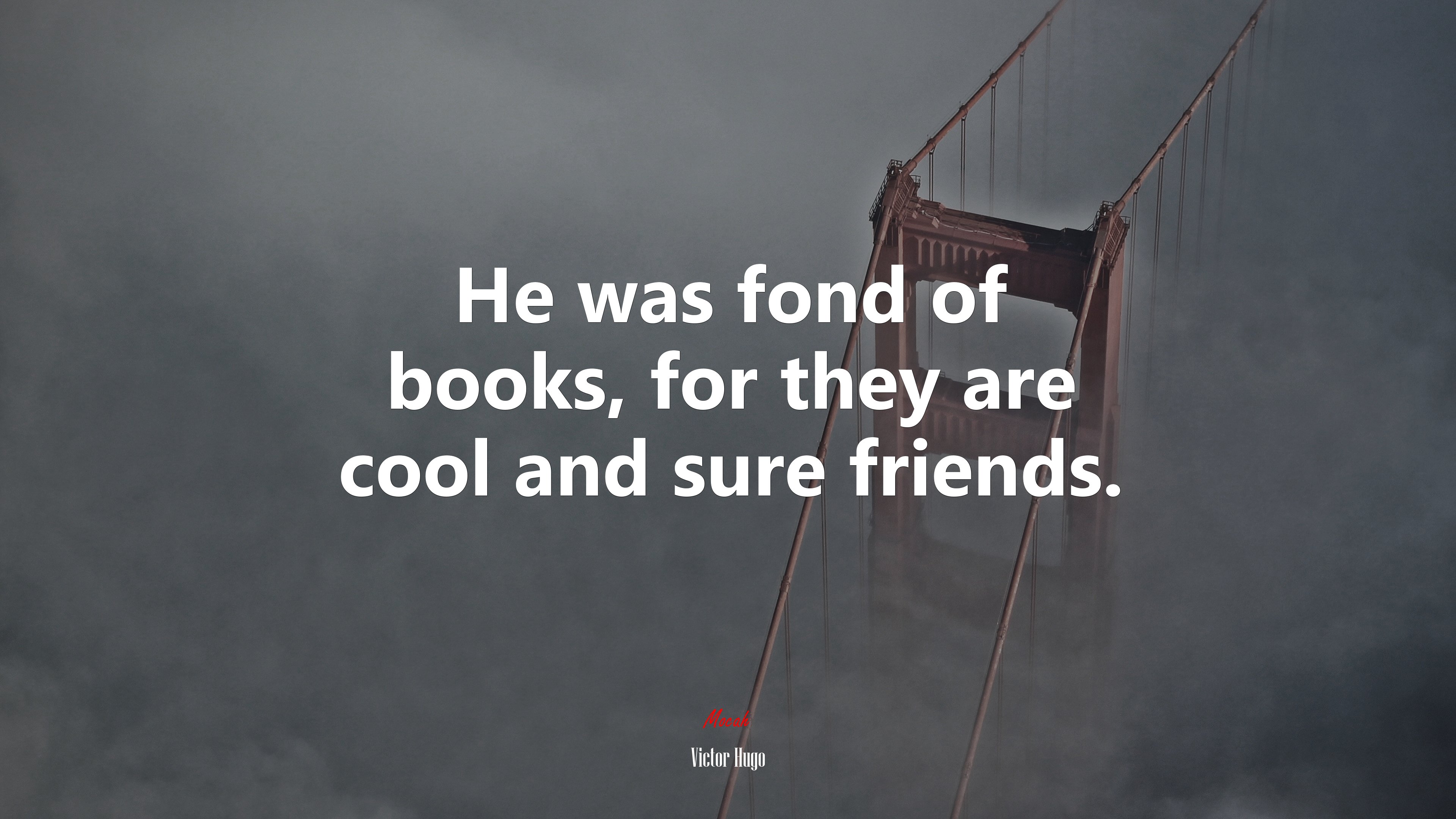 He was fond of books, for they are cool and sure friends. | Victor Hugo quote HD Wallpaper