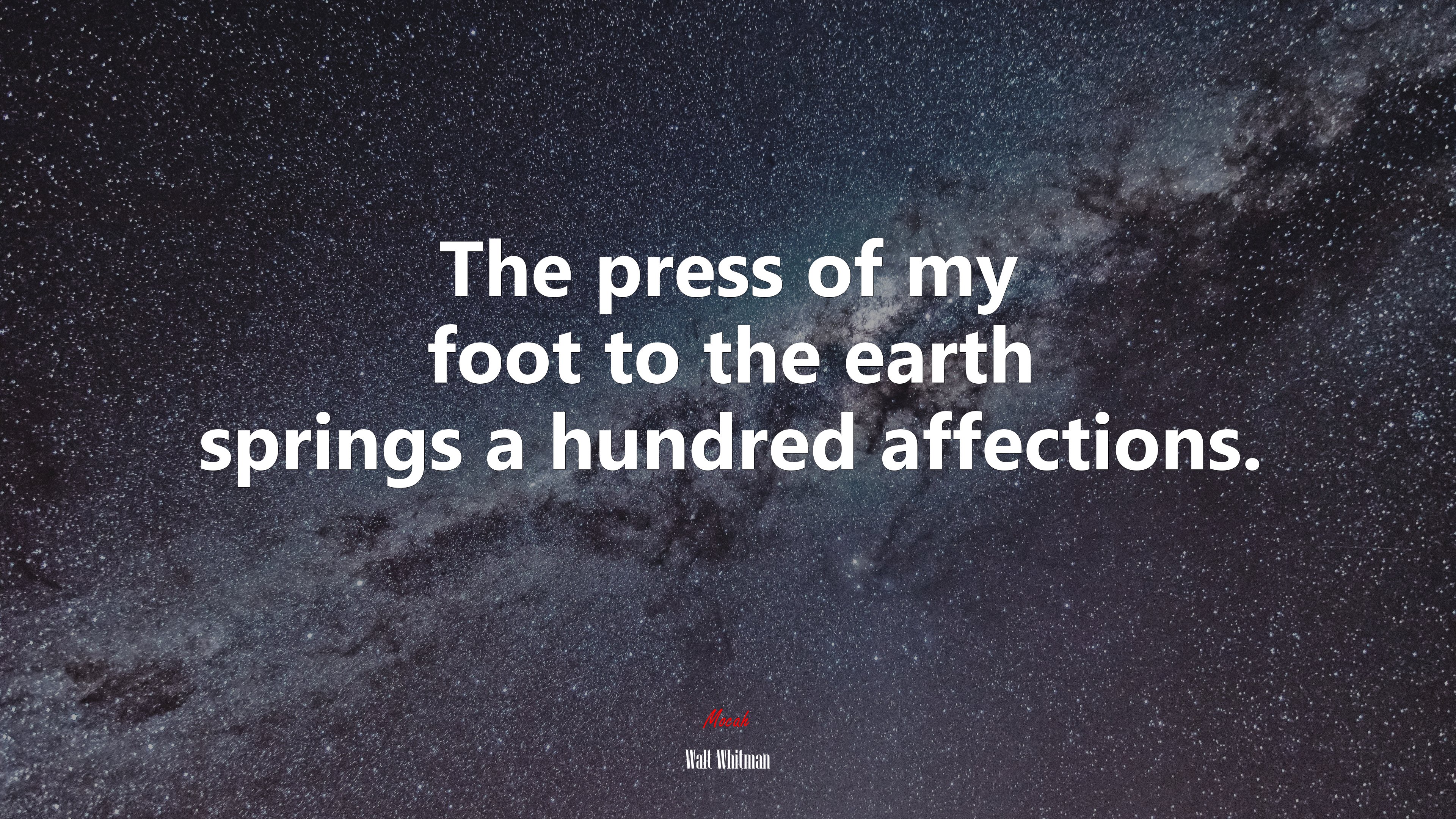 The press of my foot to the earth springs a hundred affections. | Walt Whitman quote HD Wallpaper