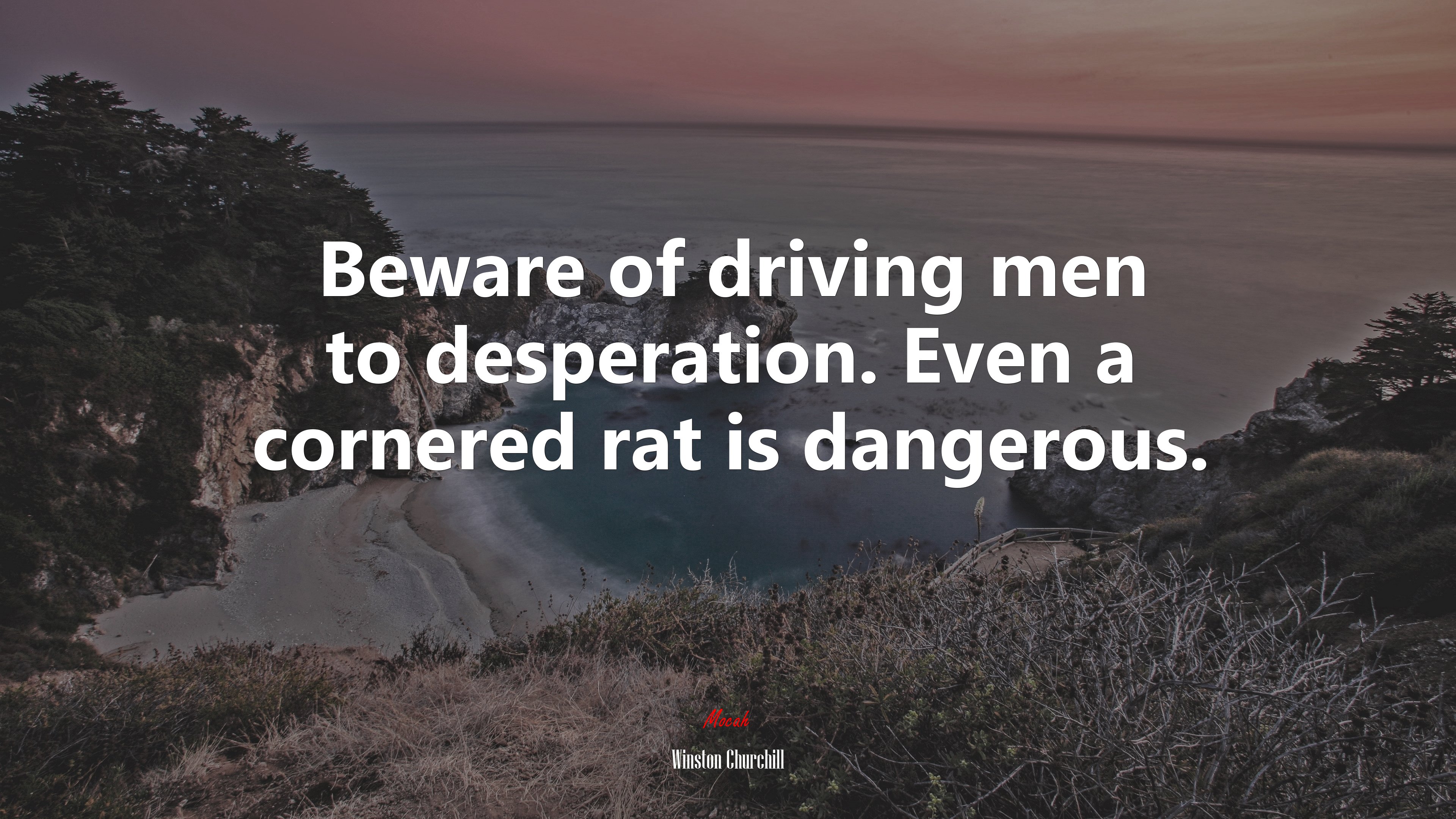 Beware of driving men to desperation. Even a cornered rat is dangerous. | Winston Churchill quote HD Wallpaper