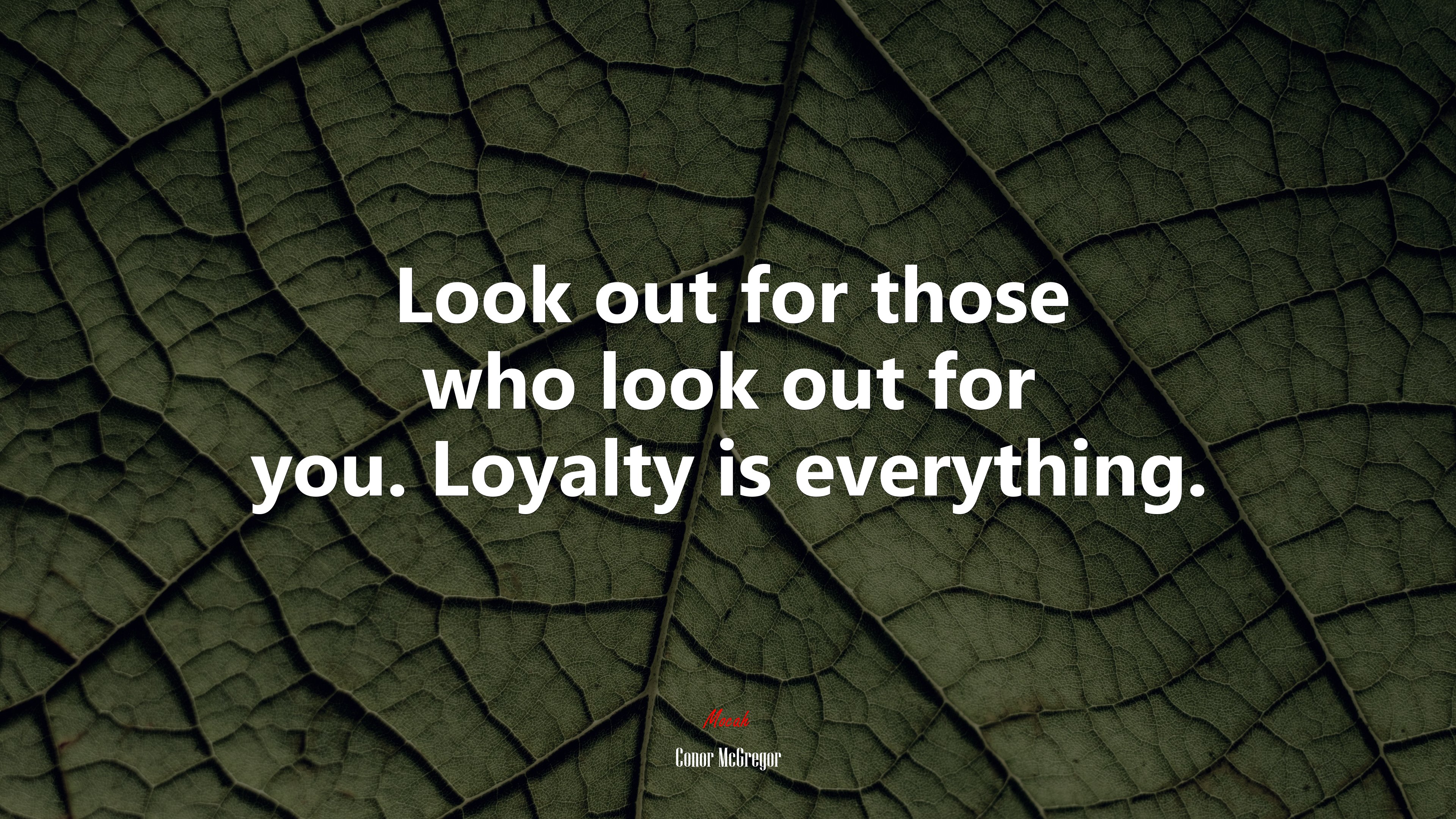 Look out for those who look out for you. Loyalty is everything. | Conor McGregor quote HD Wallpaper