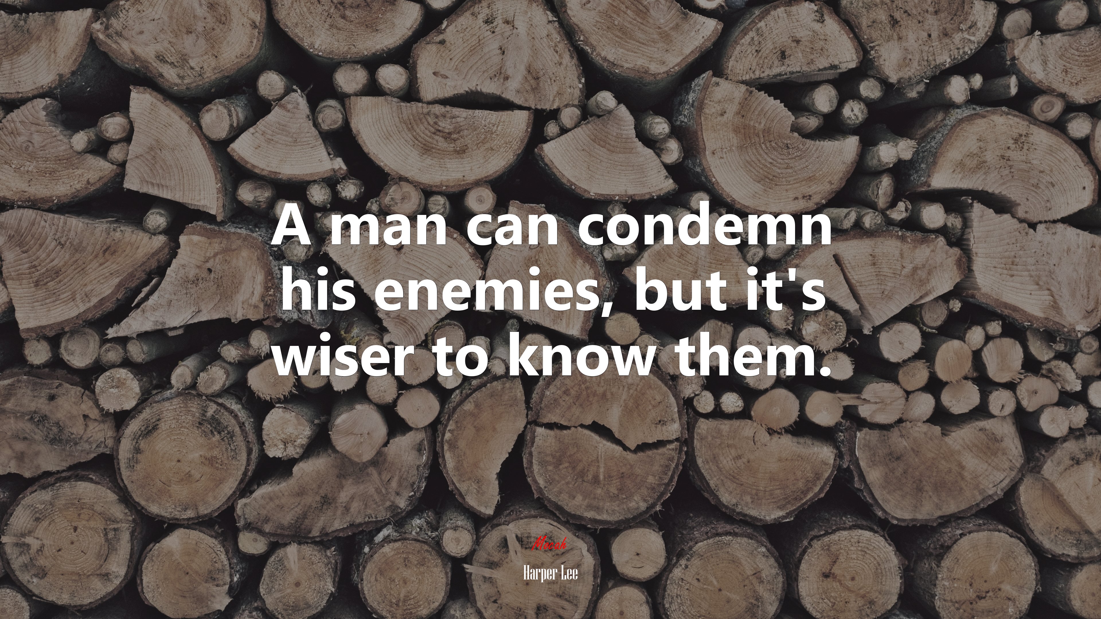 A man can condemn his enemies, but it’s wiser to know them. | Harper Lee quote HD Wallpaper