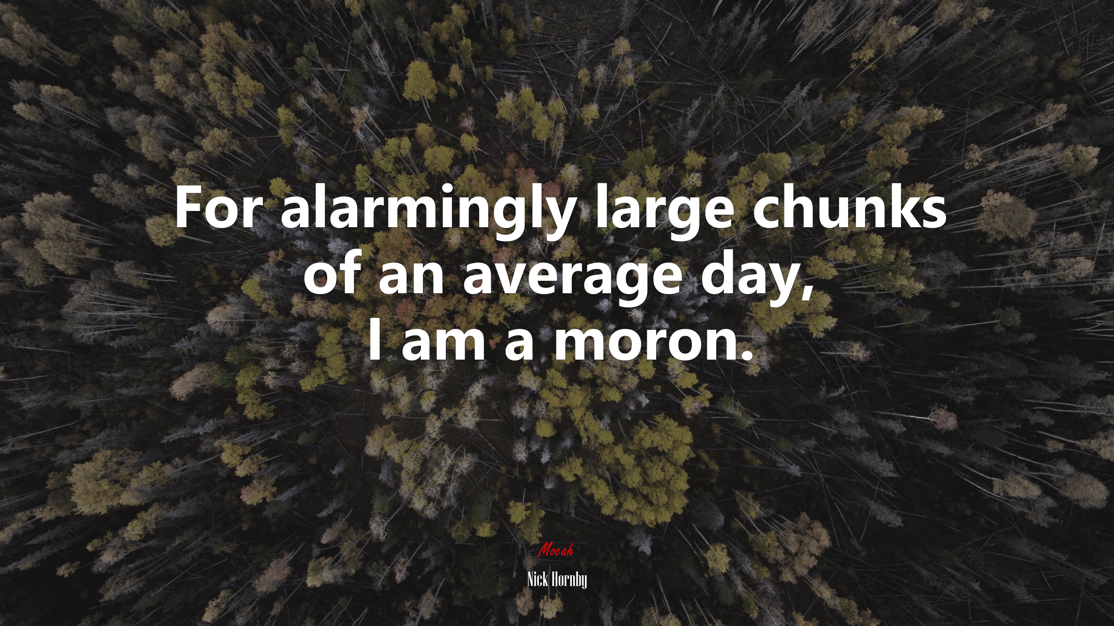 For alarmingly large chunks of an average day, I am a moron. | Nick Hornby quote HD Wallpaper