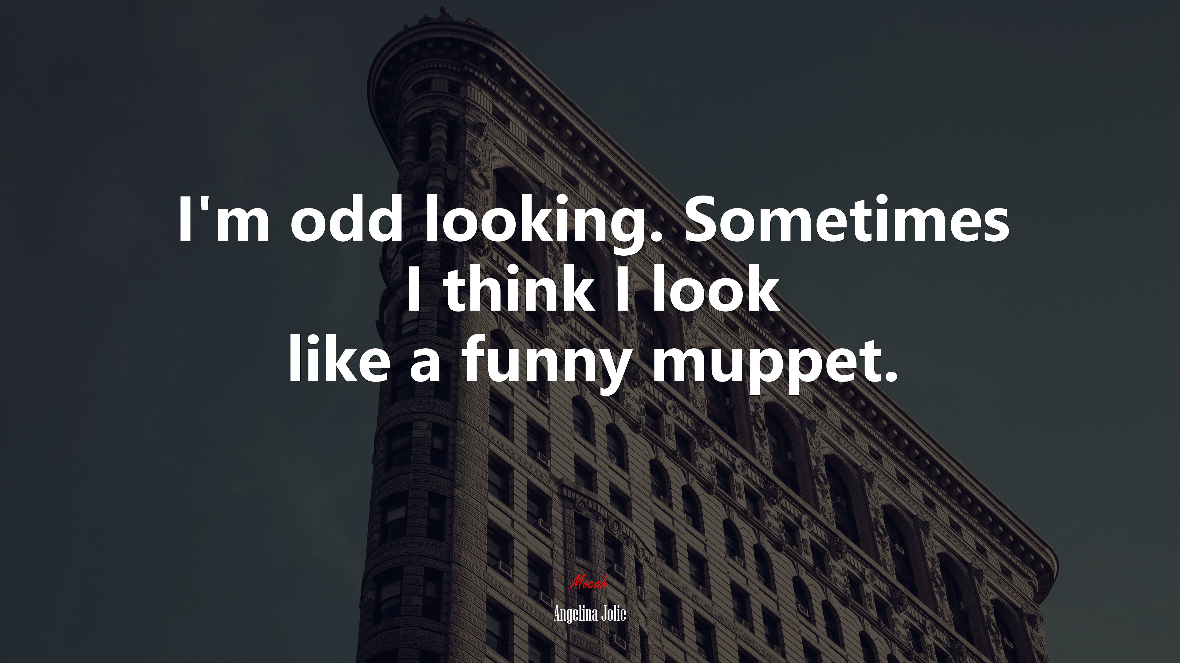 I’m odd looking. Sometimes I think I look like a funny muppet. | Angelina Jolie quote HD Wallpaper