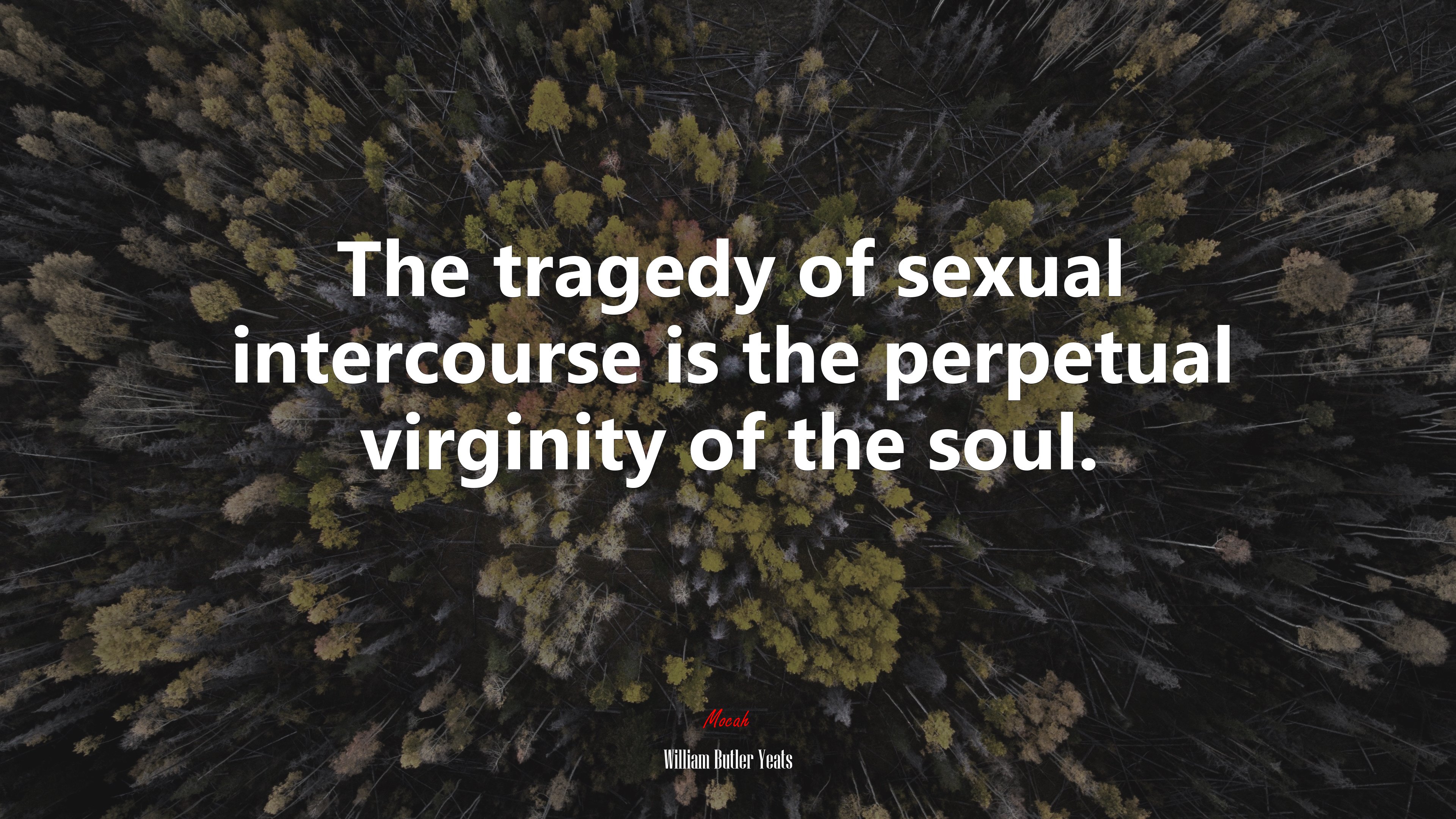 The tragedy of sexual intercourse is the perpetual virginity of the soul. | William Butler Yeats quote HD Wallpaper