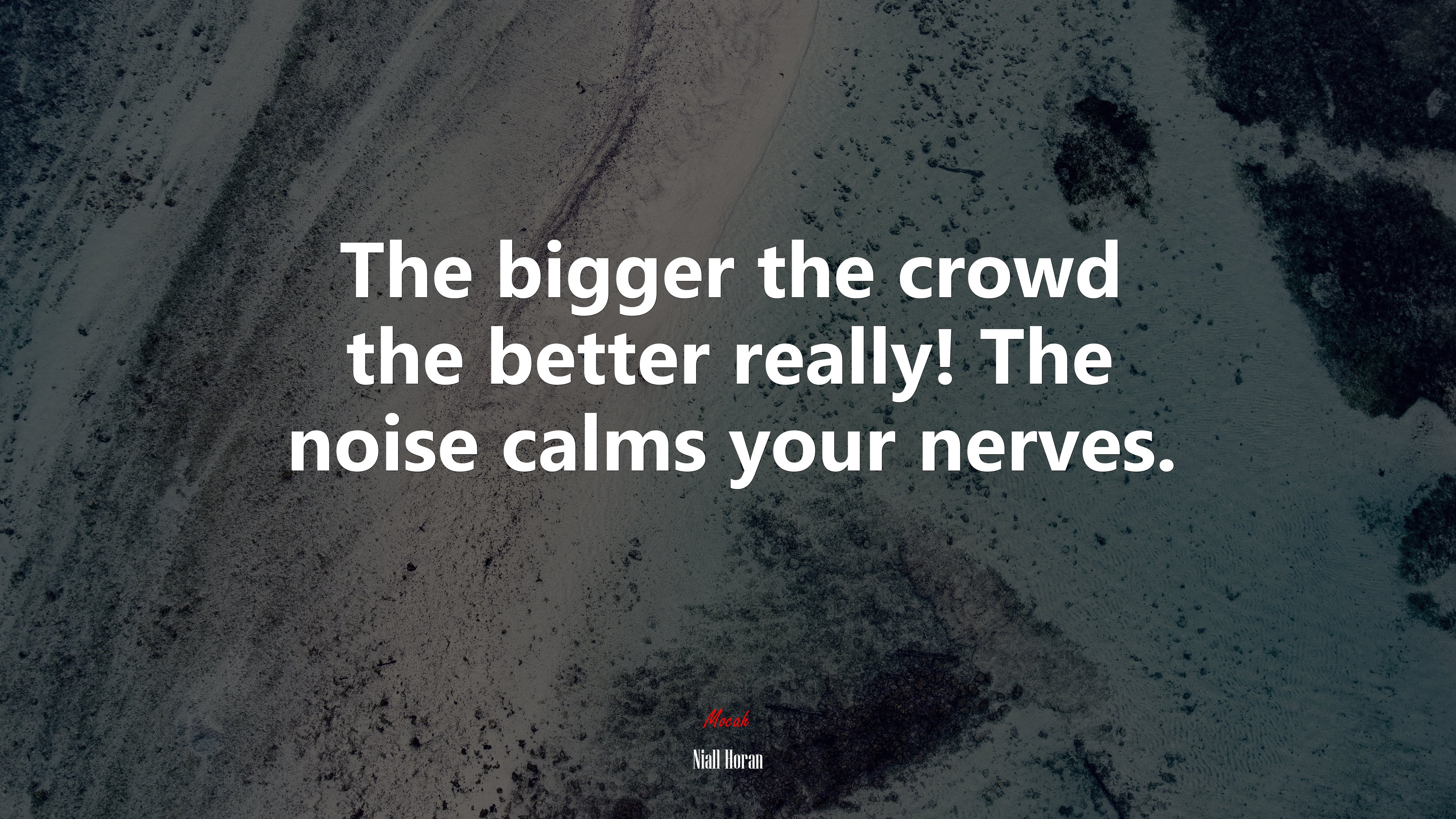 The bigger the crowd the better really! The noise calms your nerves. | Niall Horan quote HD Wallpaper