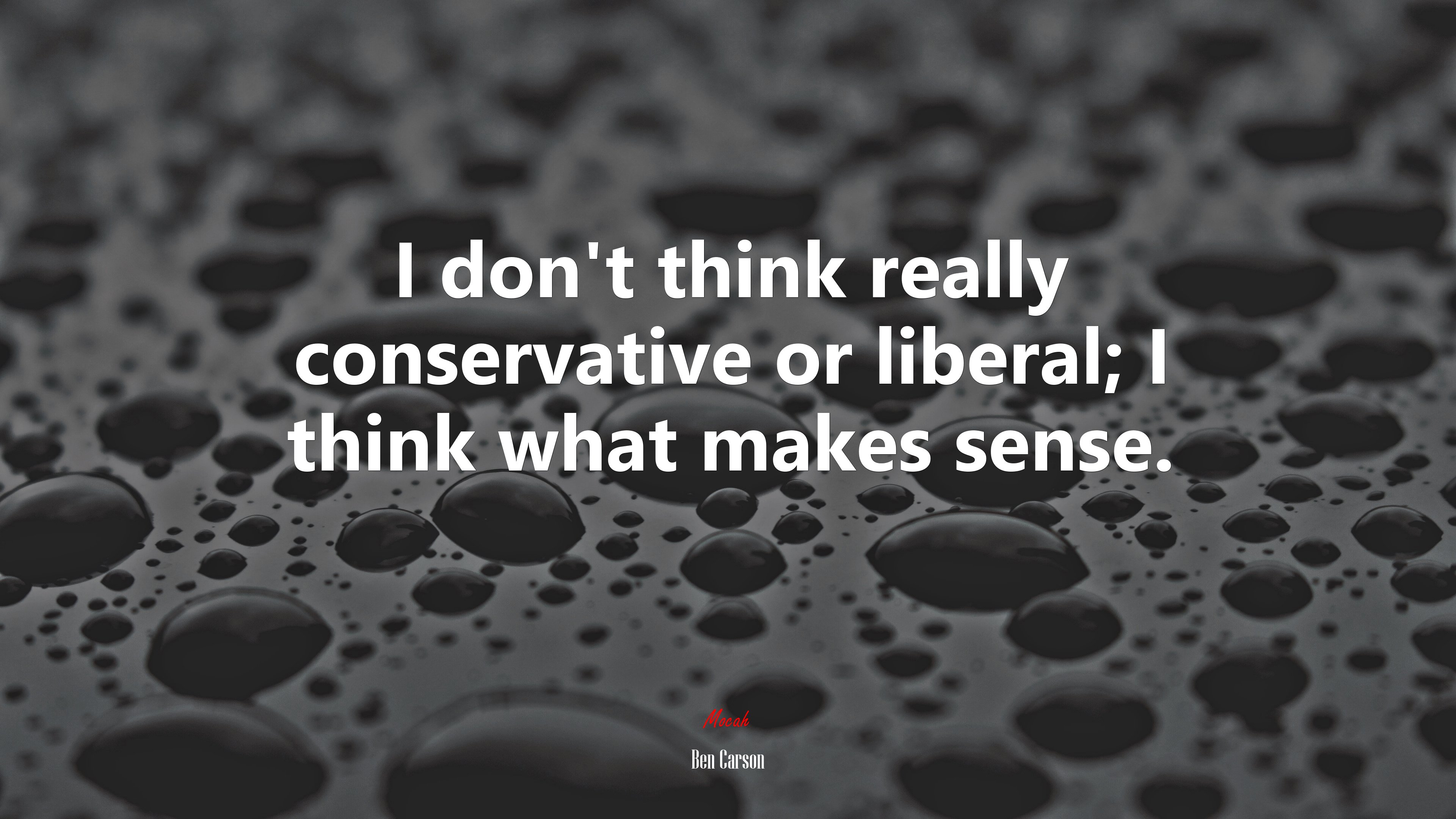 I don’t think really conservative or liberal; I think what makes sense. | Ben Carson quote HD Wallpaper