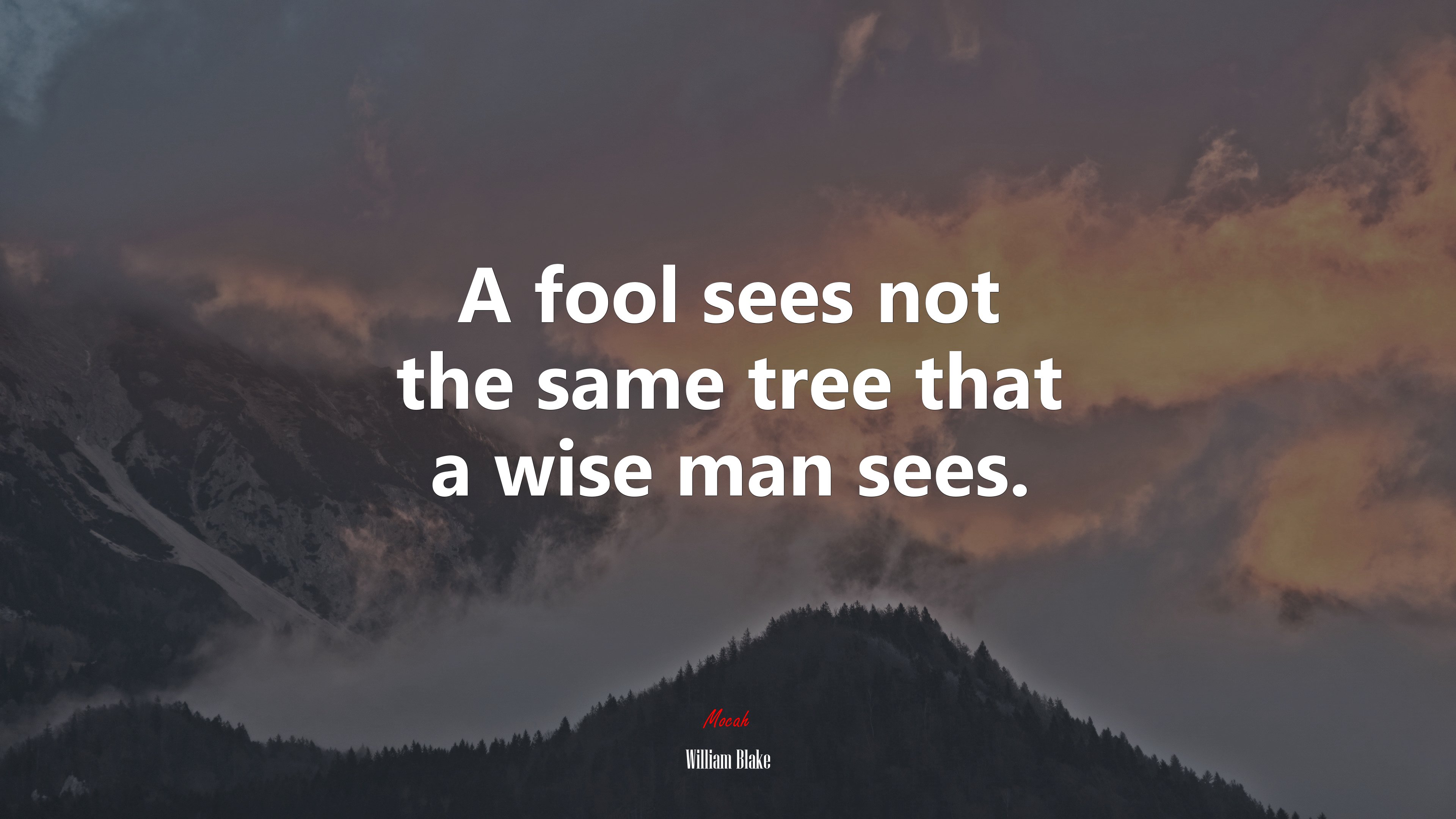 A fool sees not the same tree that a wise man sees. | William Blake quote HD Wallpaper