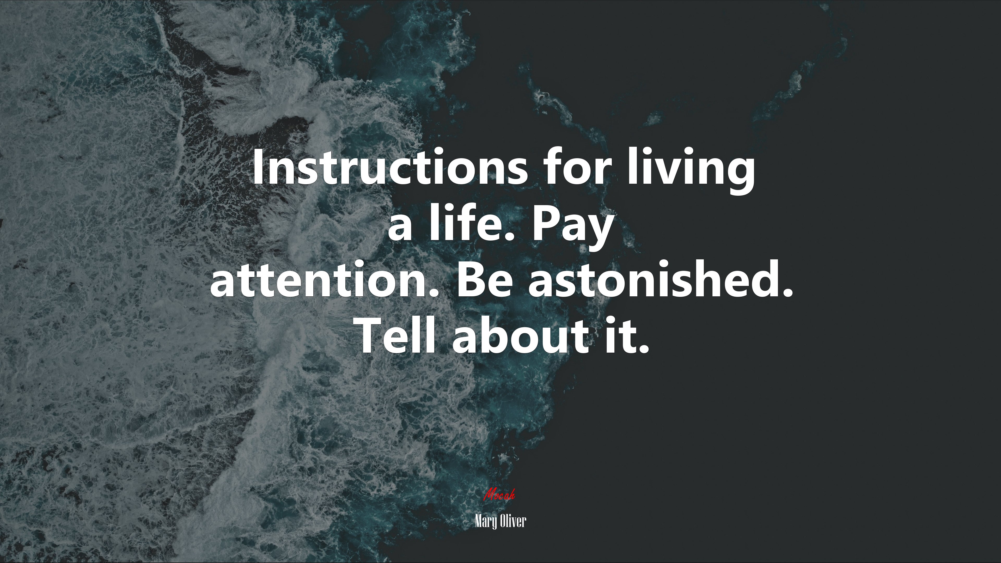 Instructions for living a life. Pay attention. Be astonished. Tell about it. | Mary Oliver quote HD Wallpaper