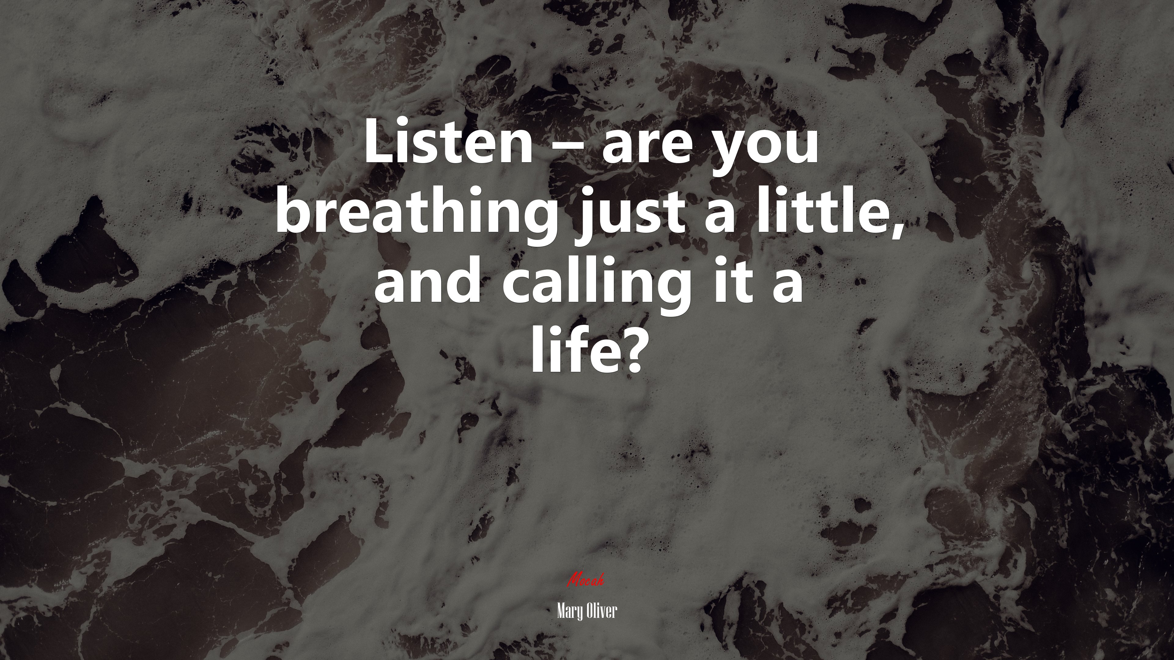 Listen – are you breathing just a little, and calling it a life? | Mary Oliver quote HD Wallpaper