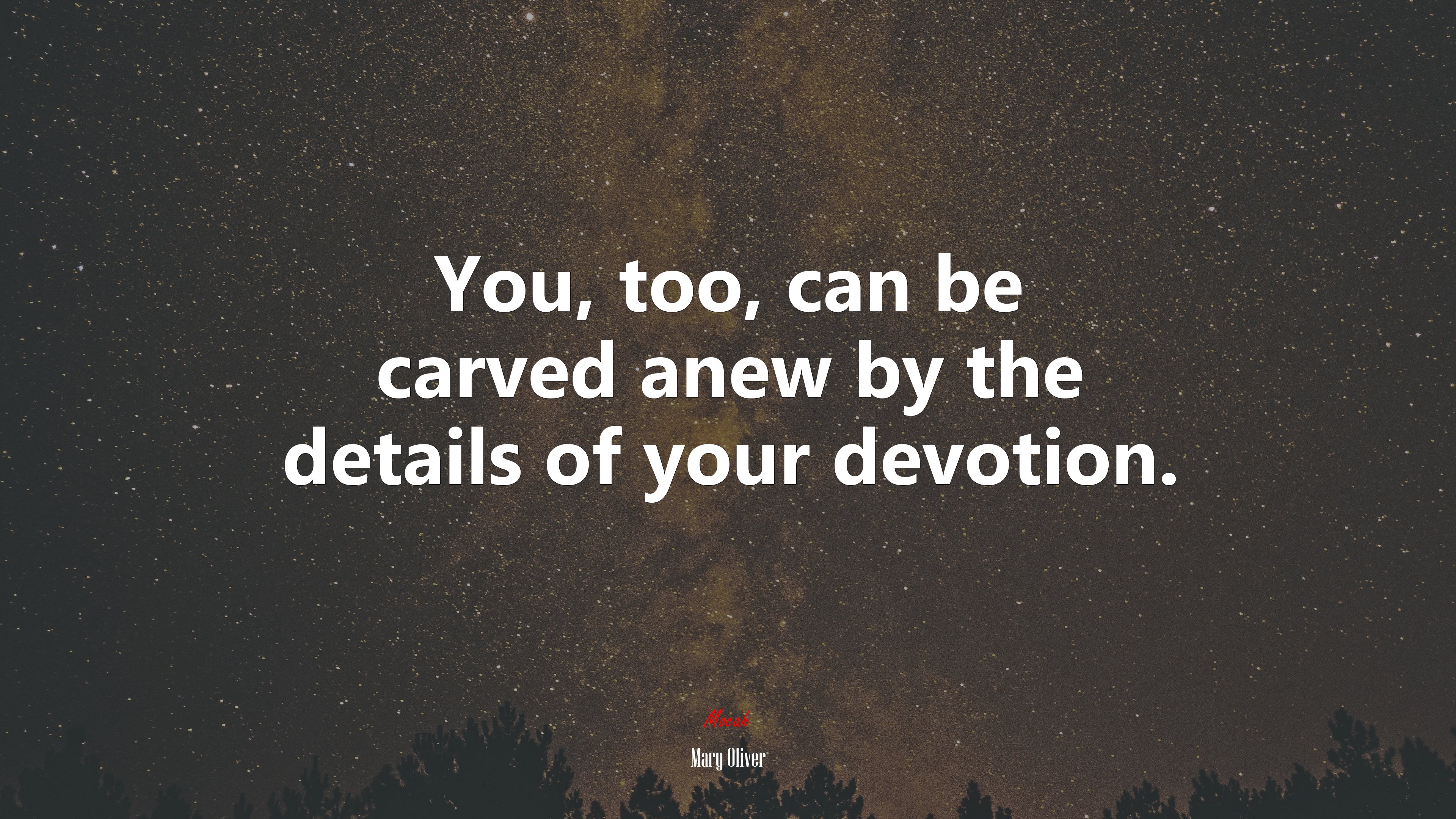 You, too, can be carved anew by the details of your devotion. | Mary Oliver quote HD Wallpaper